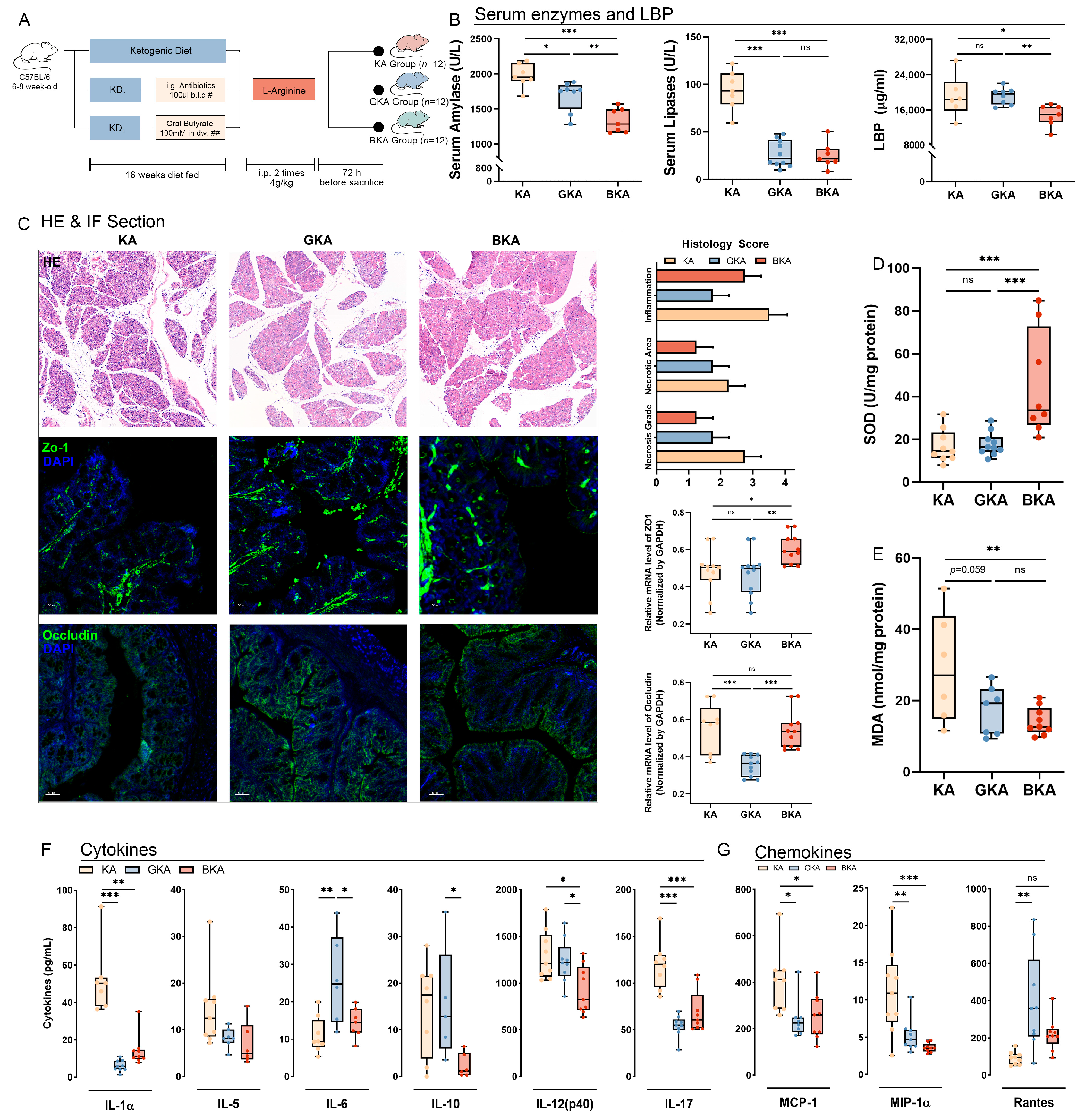 Nutrients 15 04427 g004