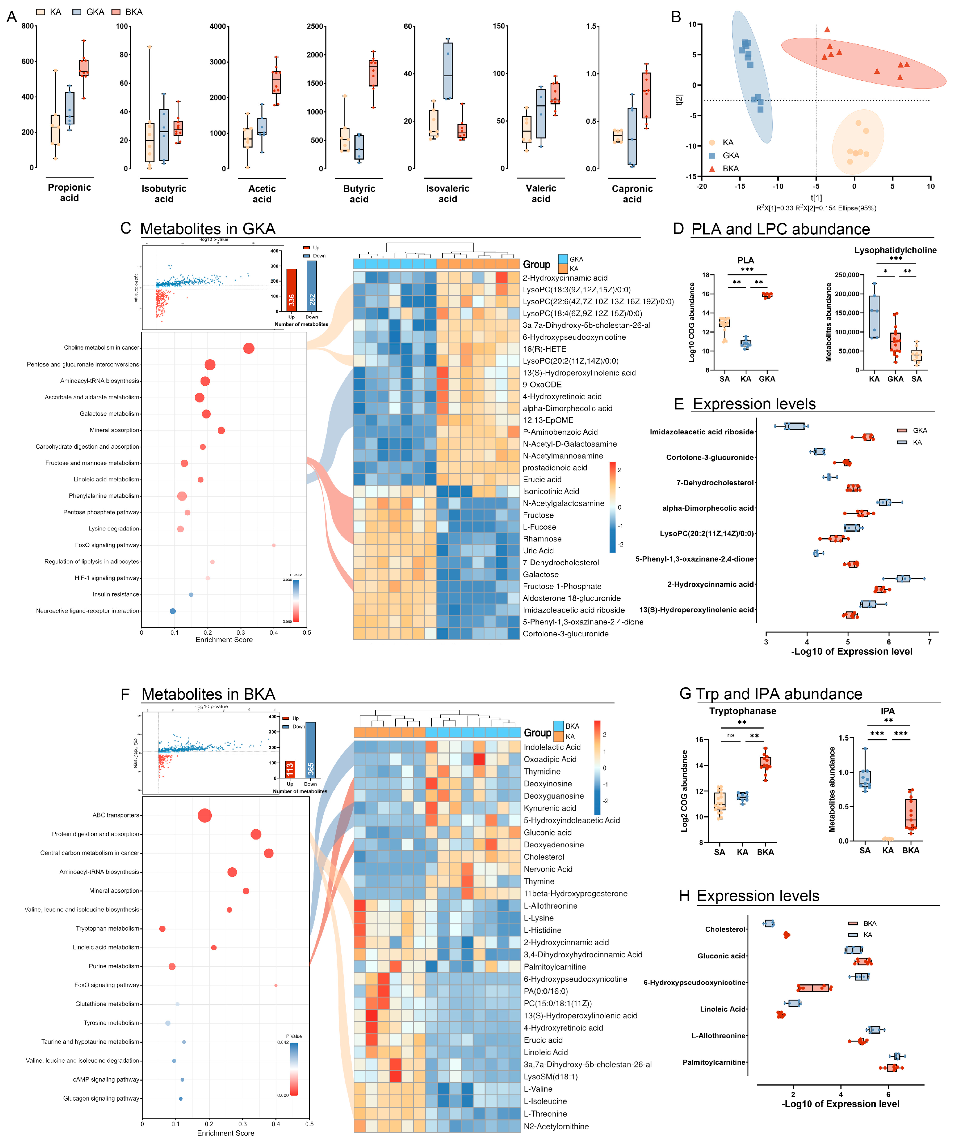 Nutrients 15 04427 g006