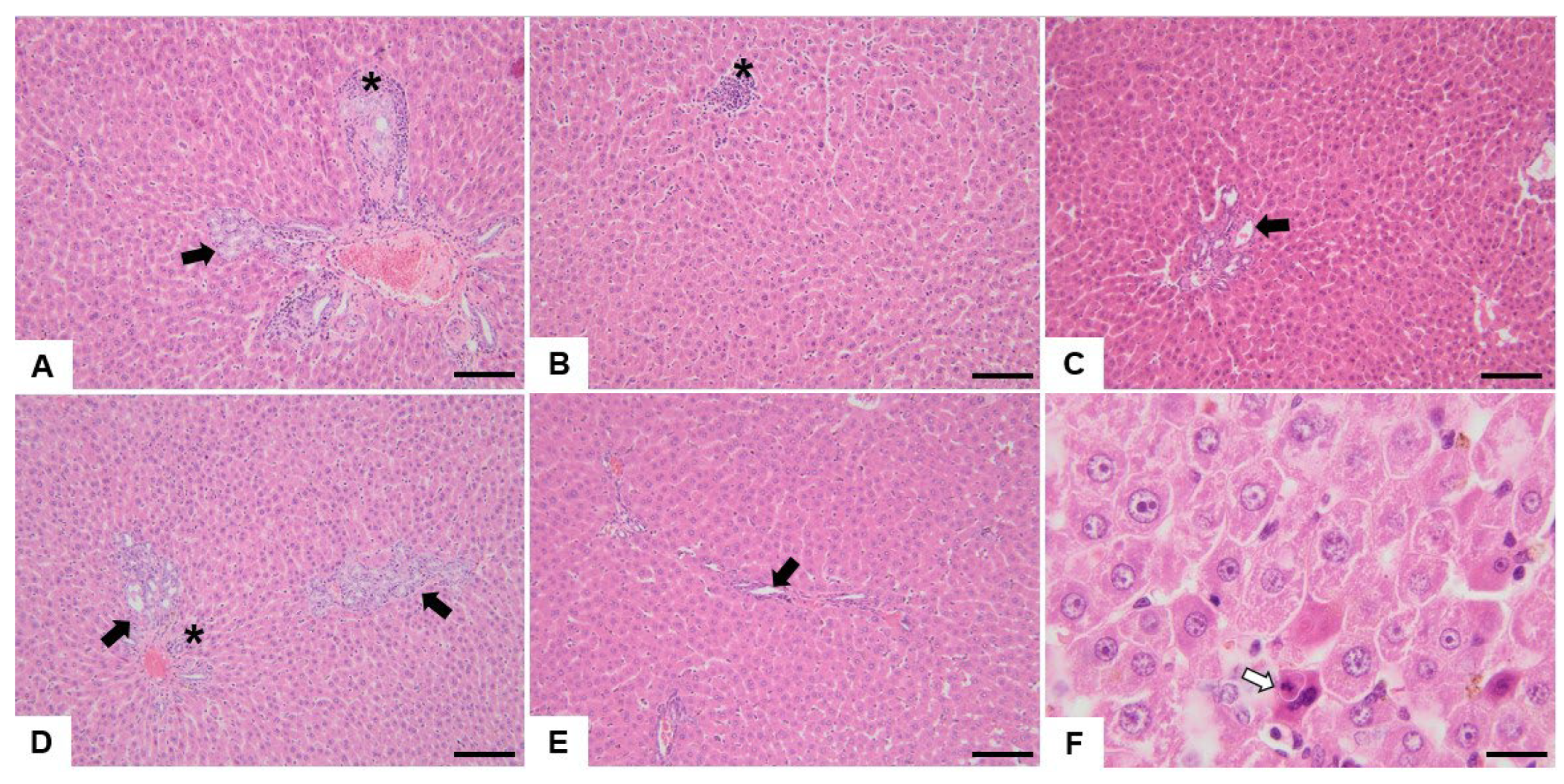 Nutrients 15 04436 g003 Nutrients 15 04436 g003