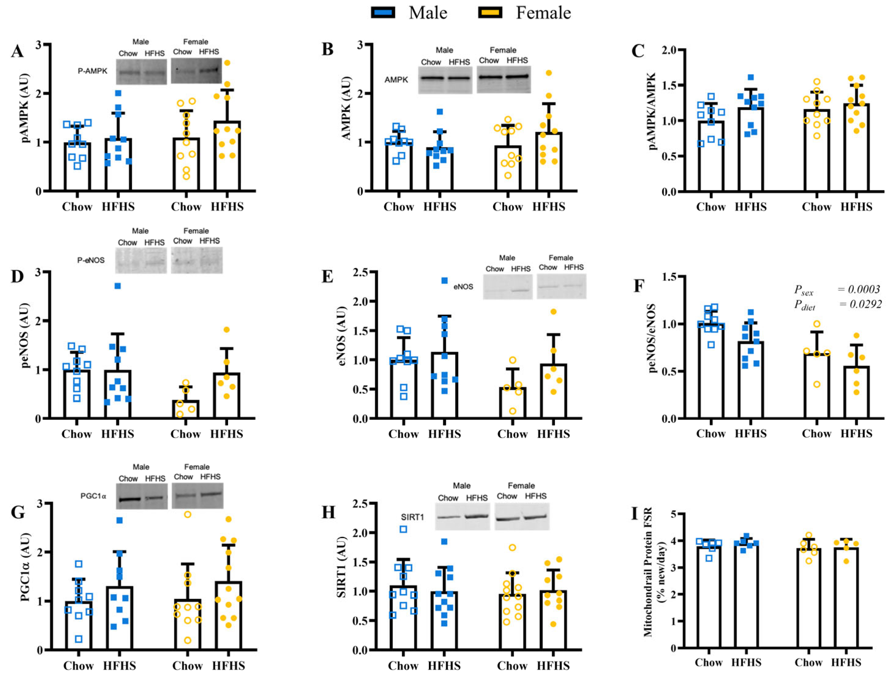 Nutrients 15 04438 g003