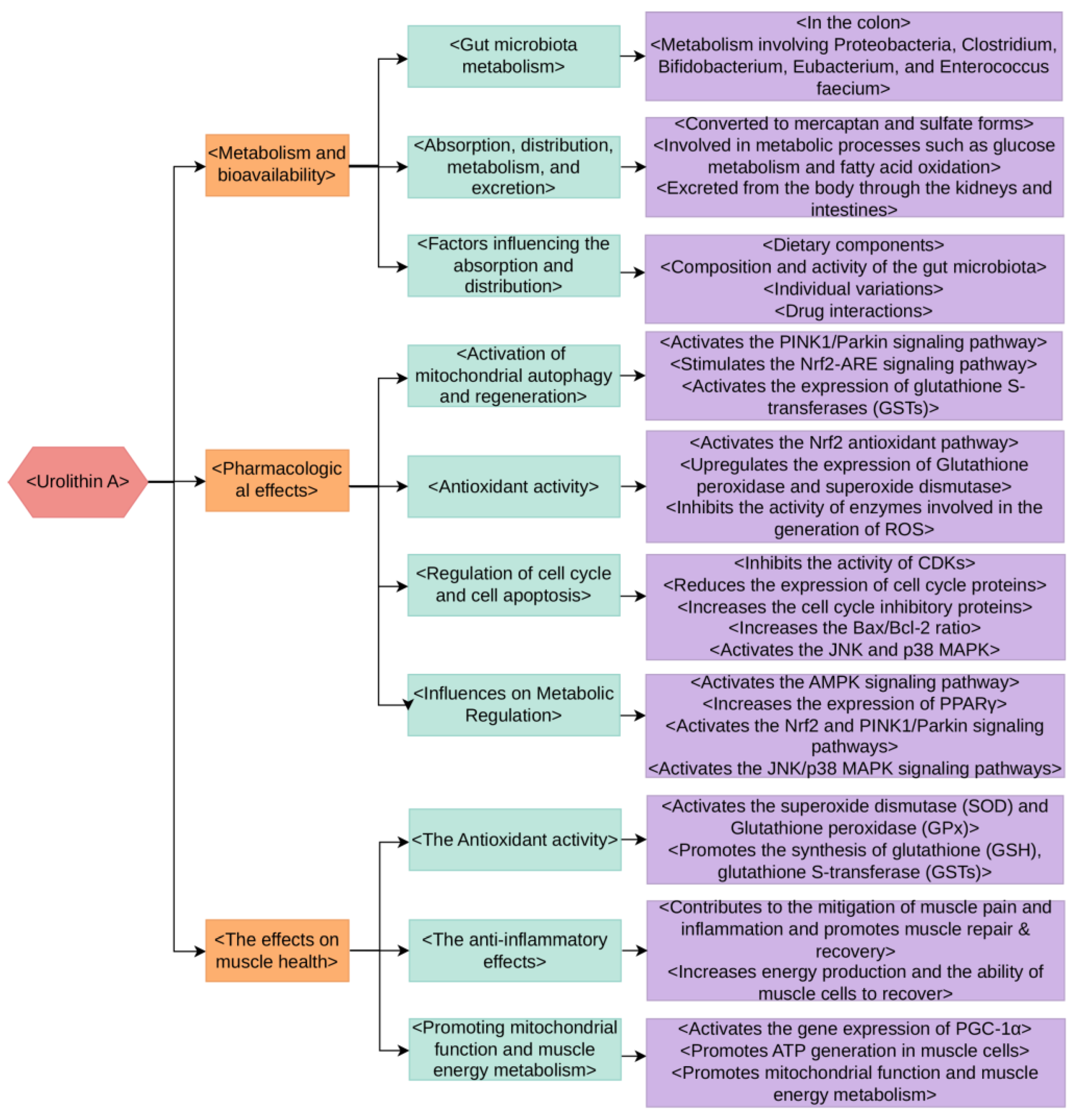 Nutrients 15 04441 g002