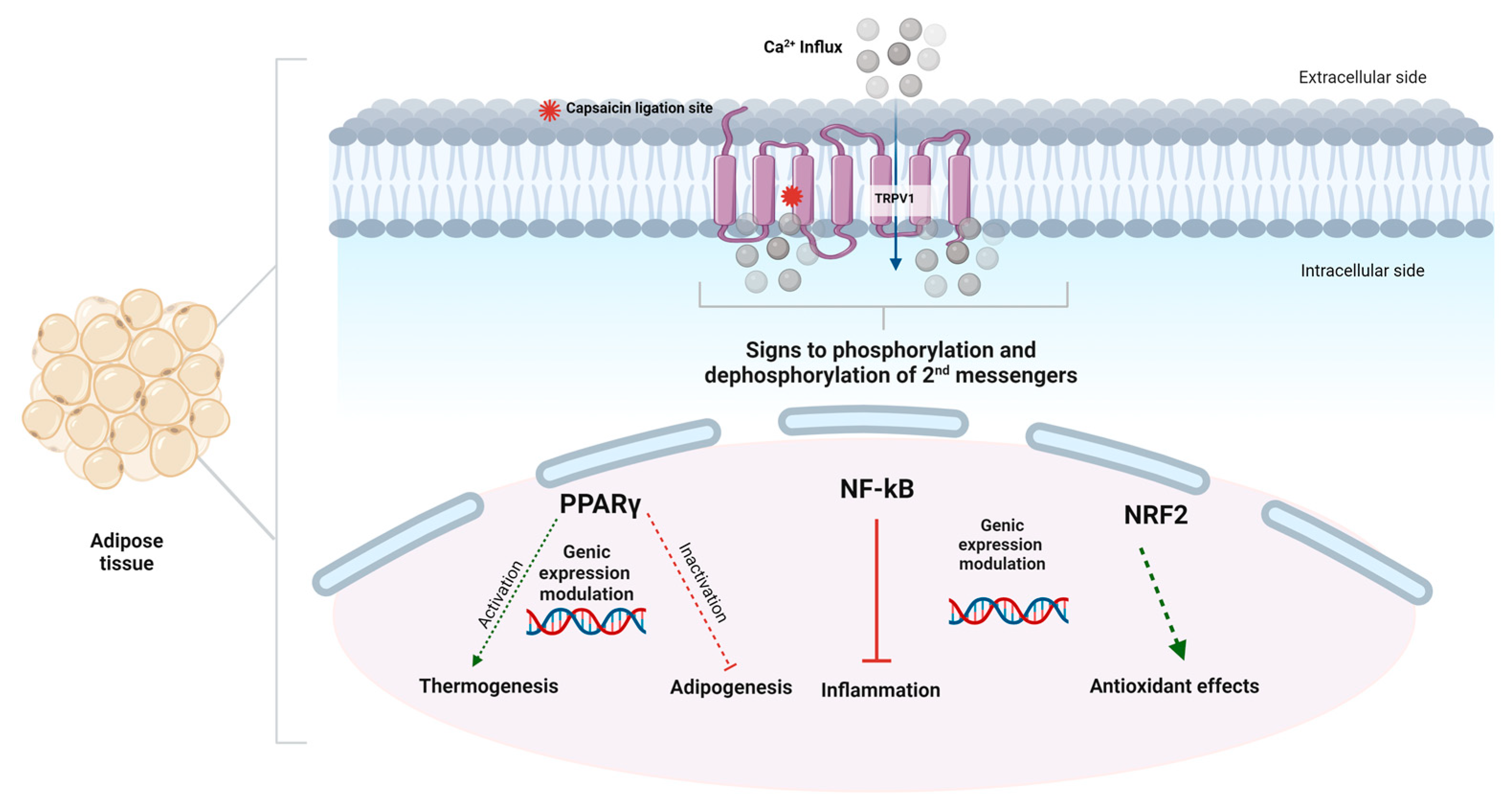 Nutrients 15 04469 g002