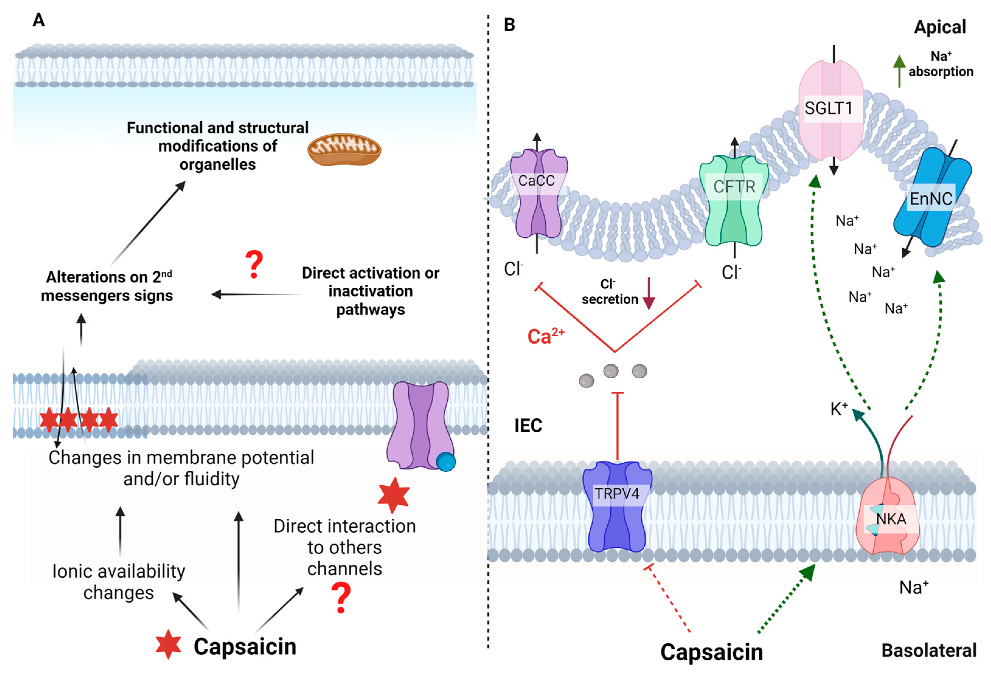 Nutrients 15 04469 g003