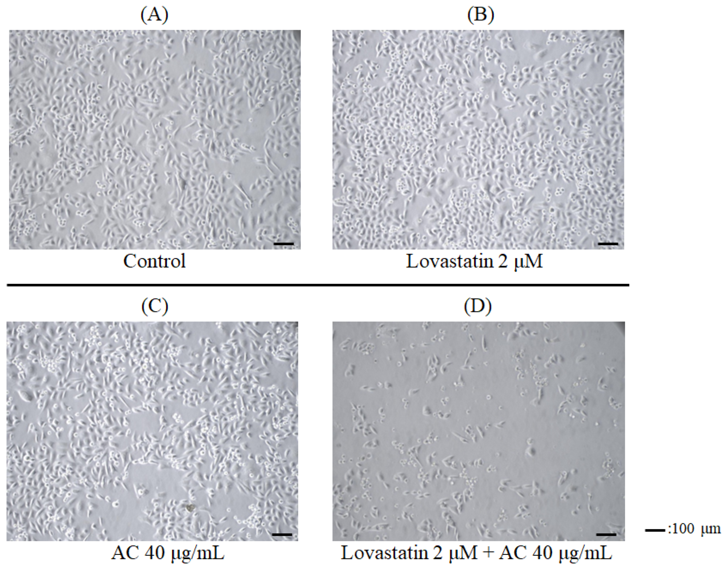 Nutrients 15 04493 g001 Nutrients 15 04493 g001