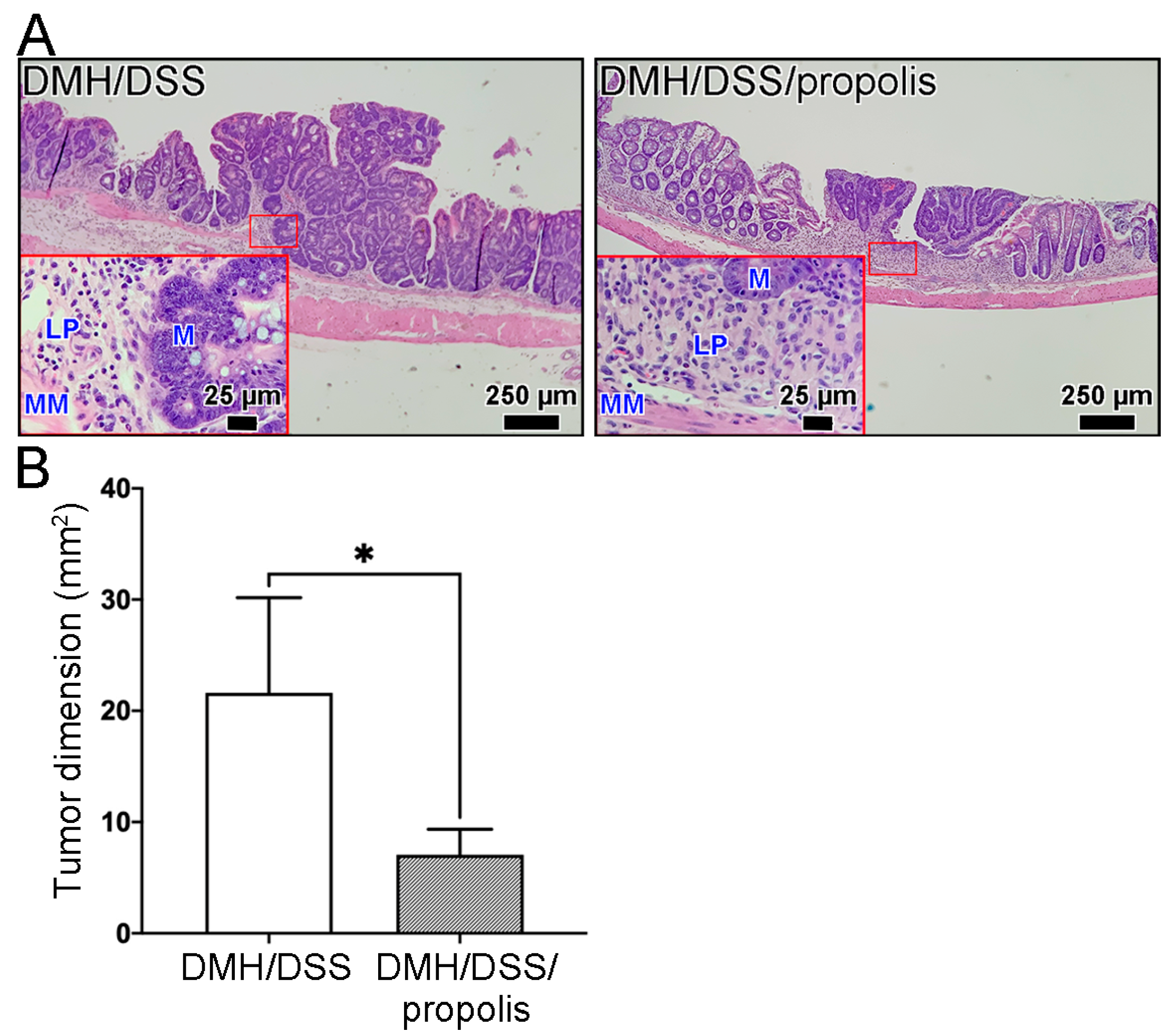 Nutrients 15 04494 g004