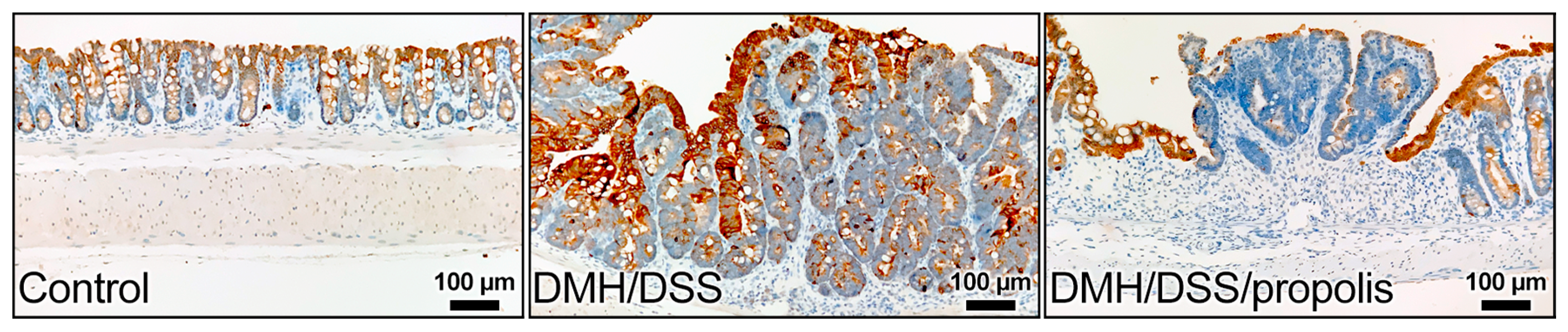Nutrients 15 04494 g005