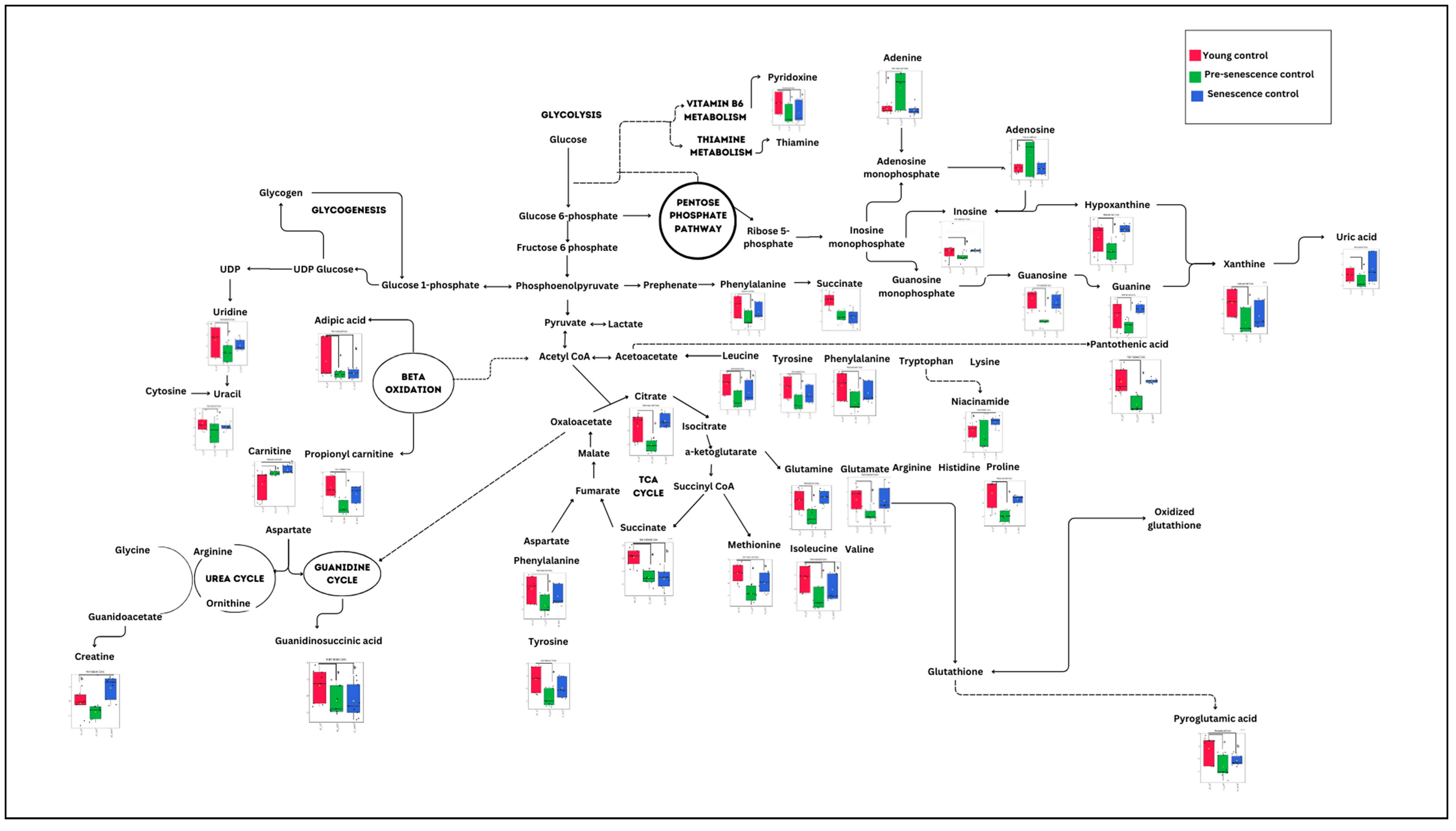 Nutrients 15 04520 g005