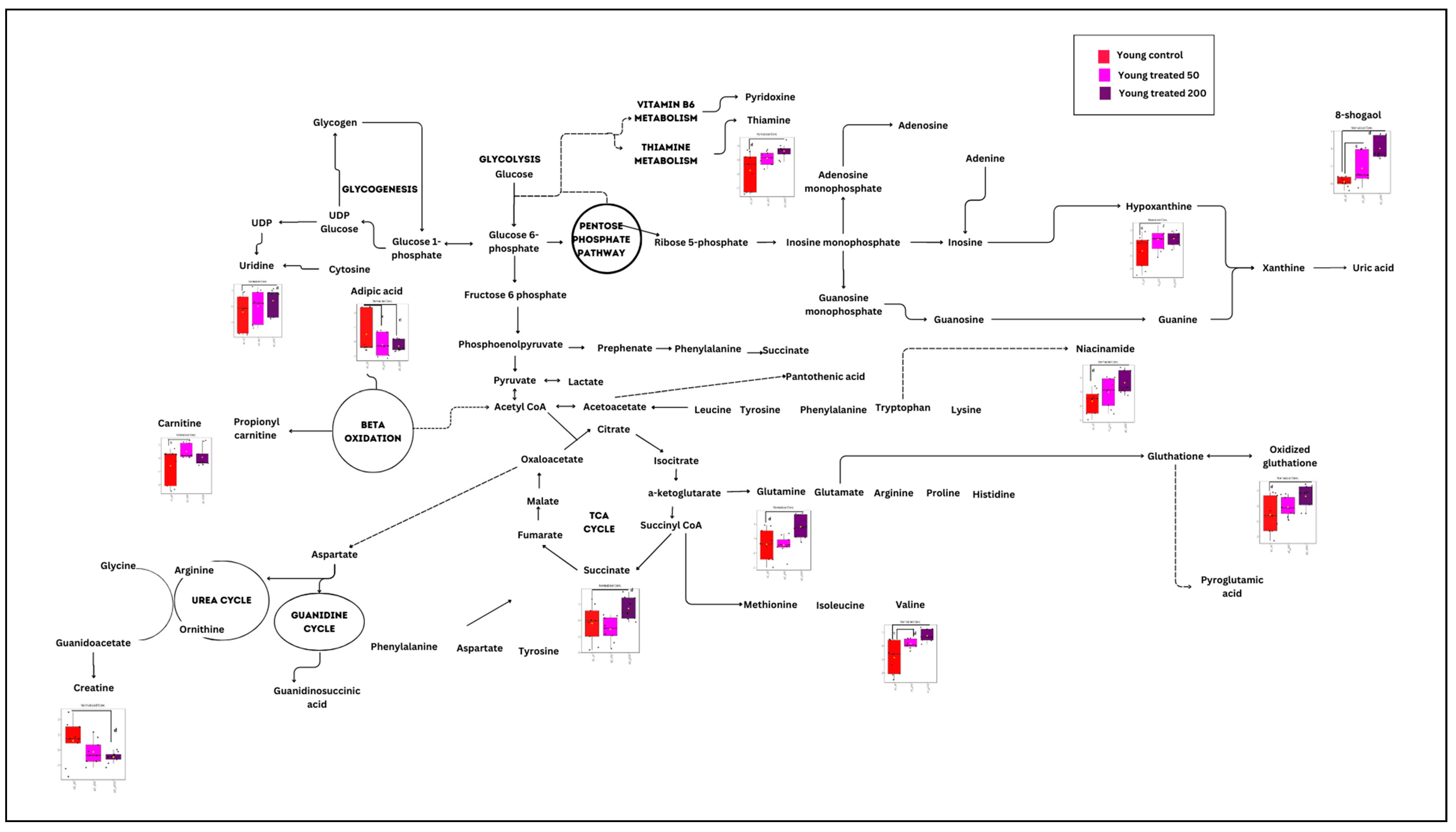 Nutrients 15 04520 g006