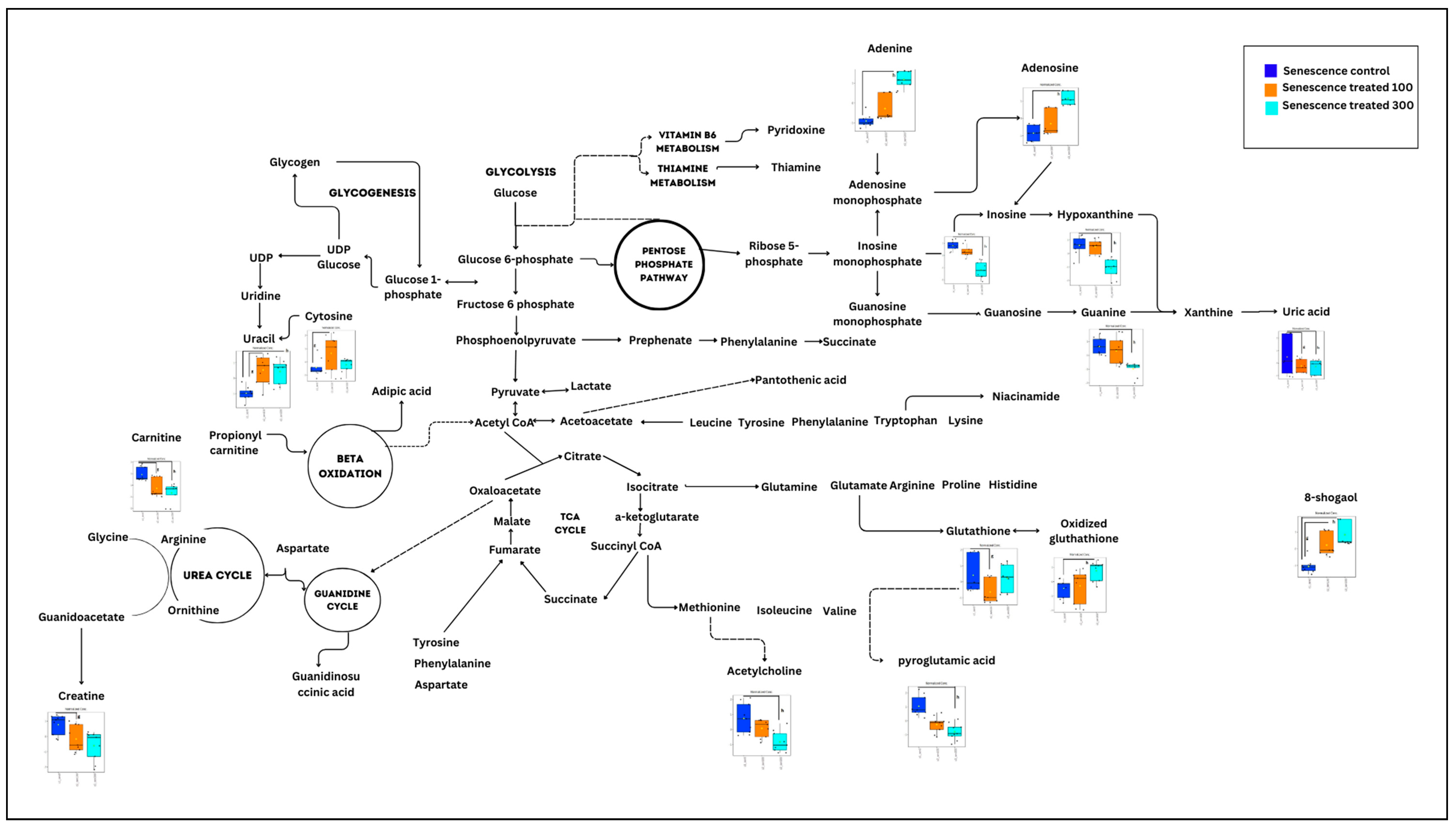 Nutrients 15 04520 g008