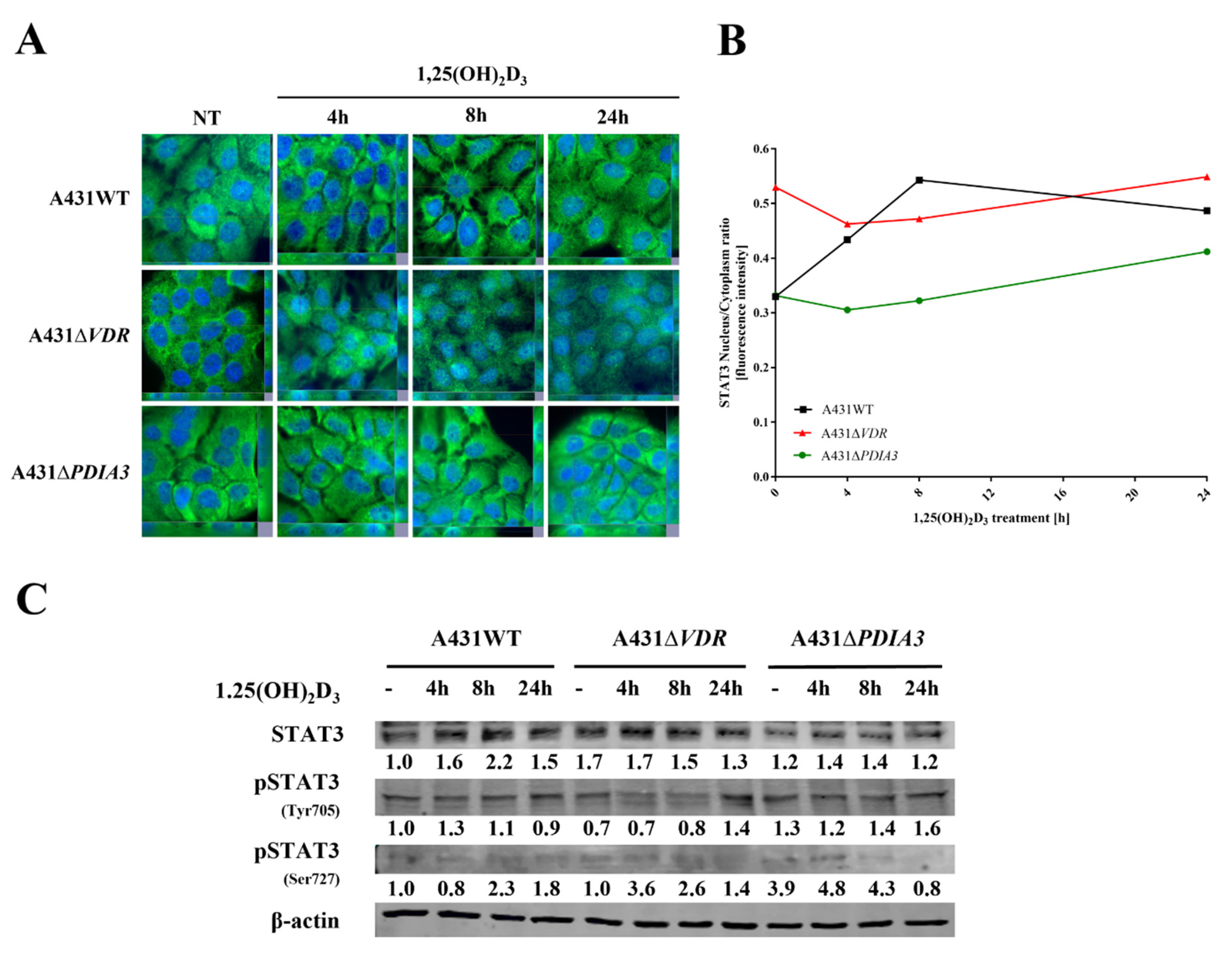 Nutrients 15 04529 g006 Nutrients 15 04529 g006