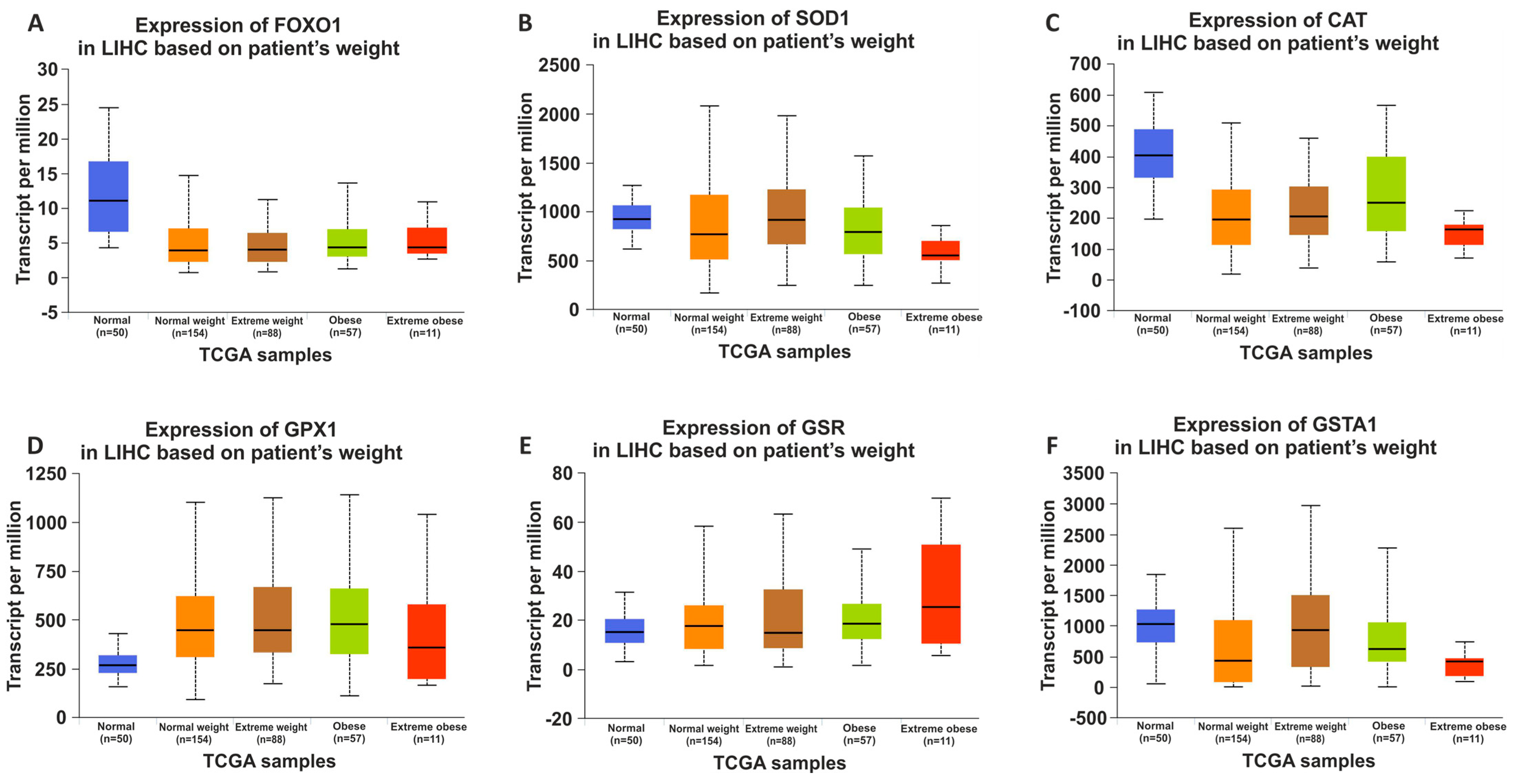 Nutrients 15 04557 g007 Nutrients 15 04557 g007