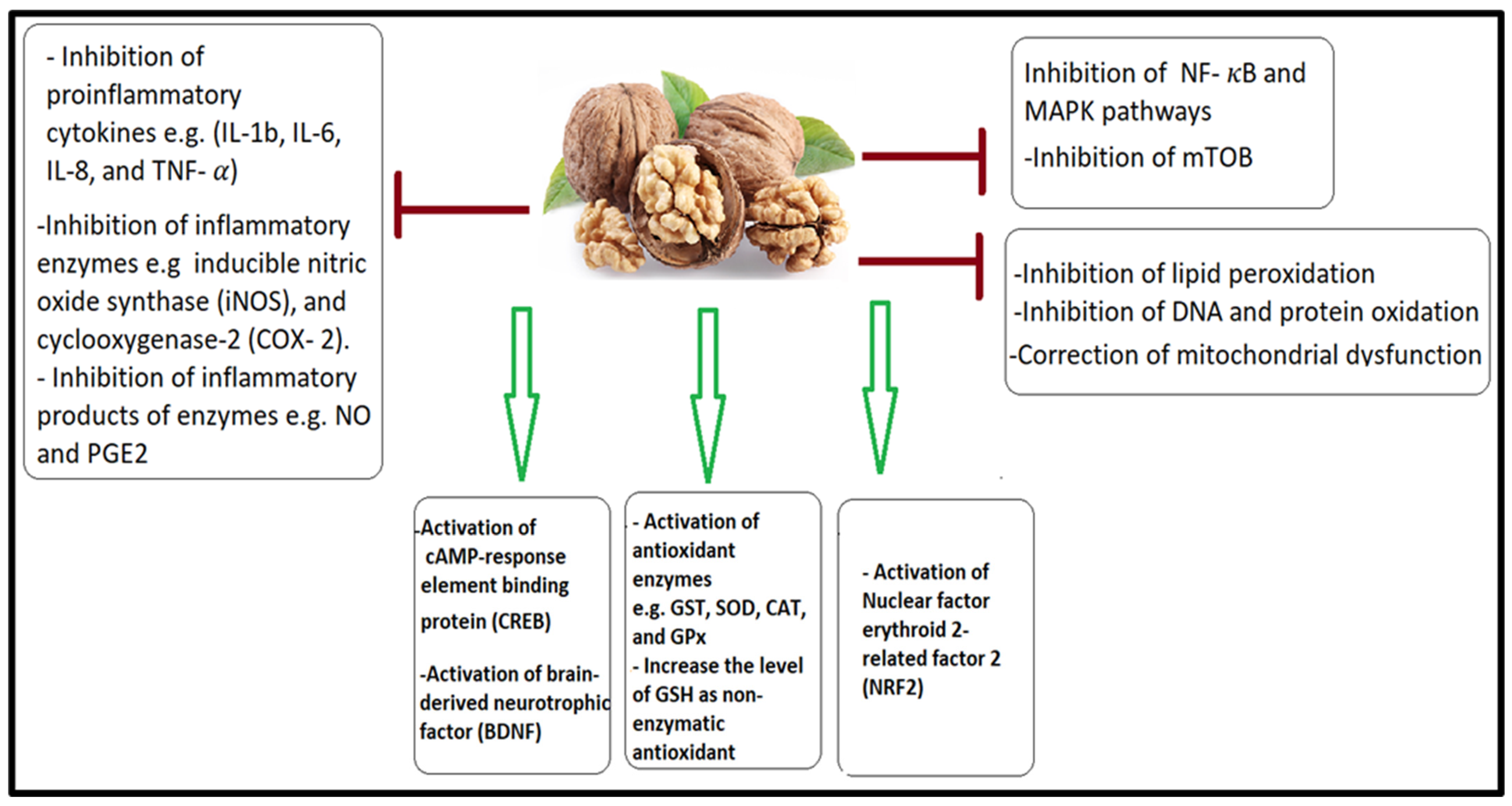 Nutrients 15 04564 g001