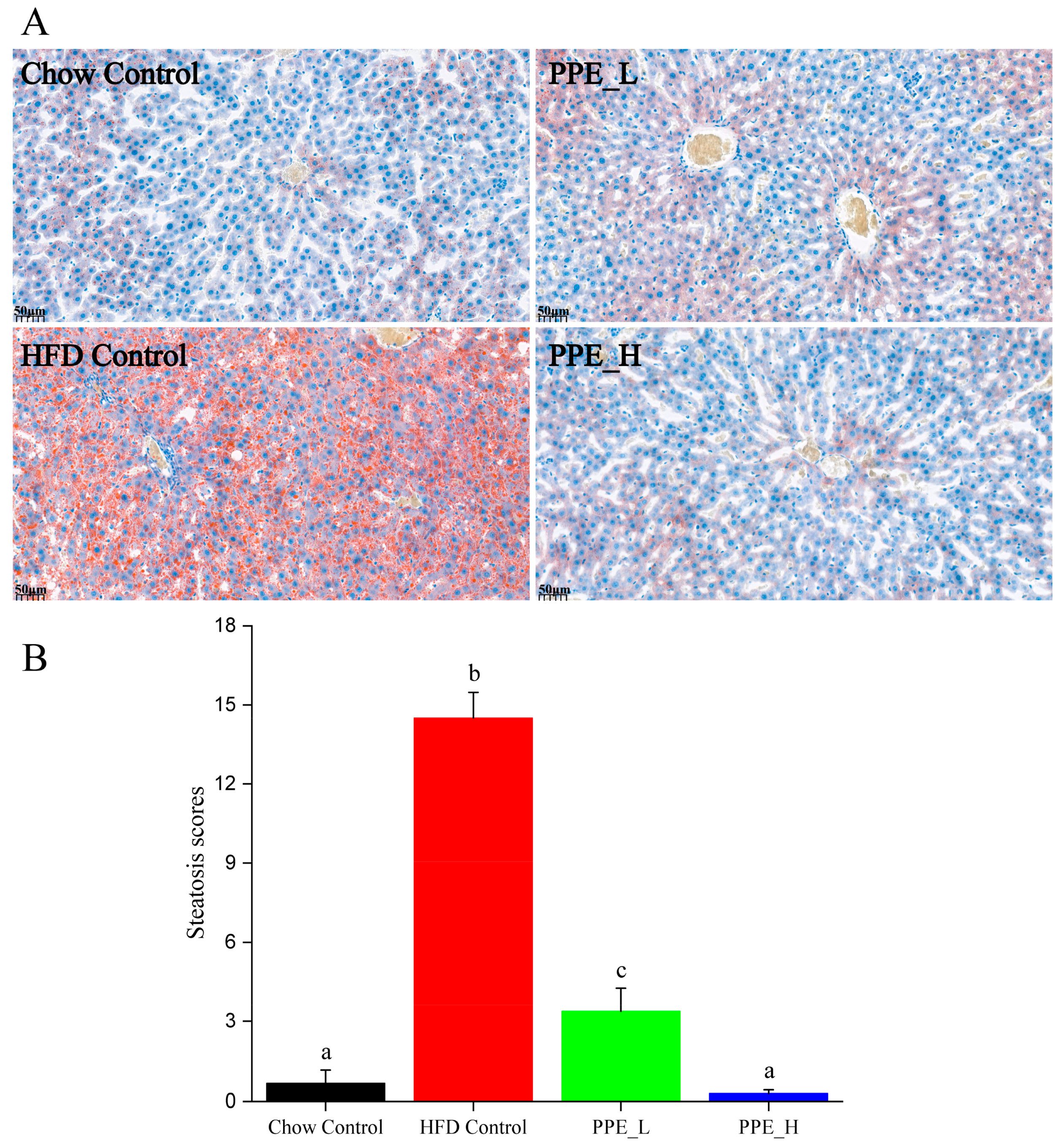 Nutrients 15 04573 g002