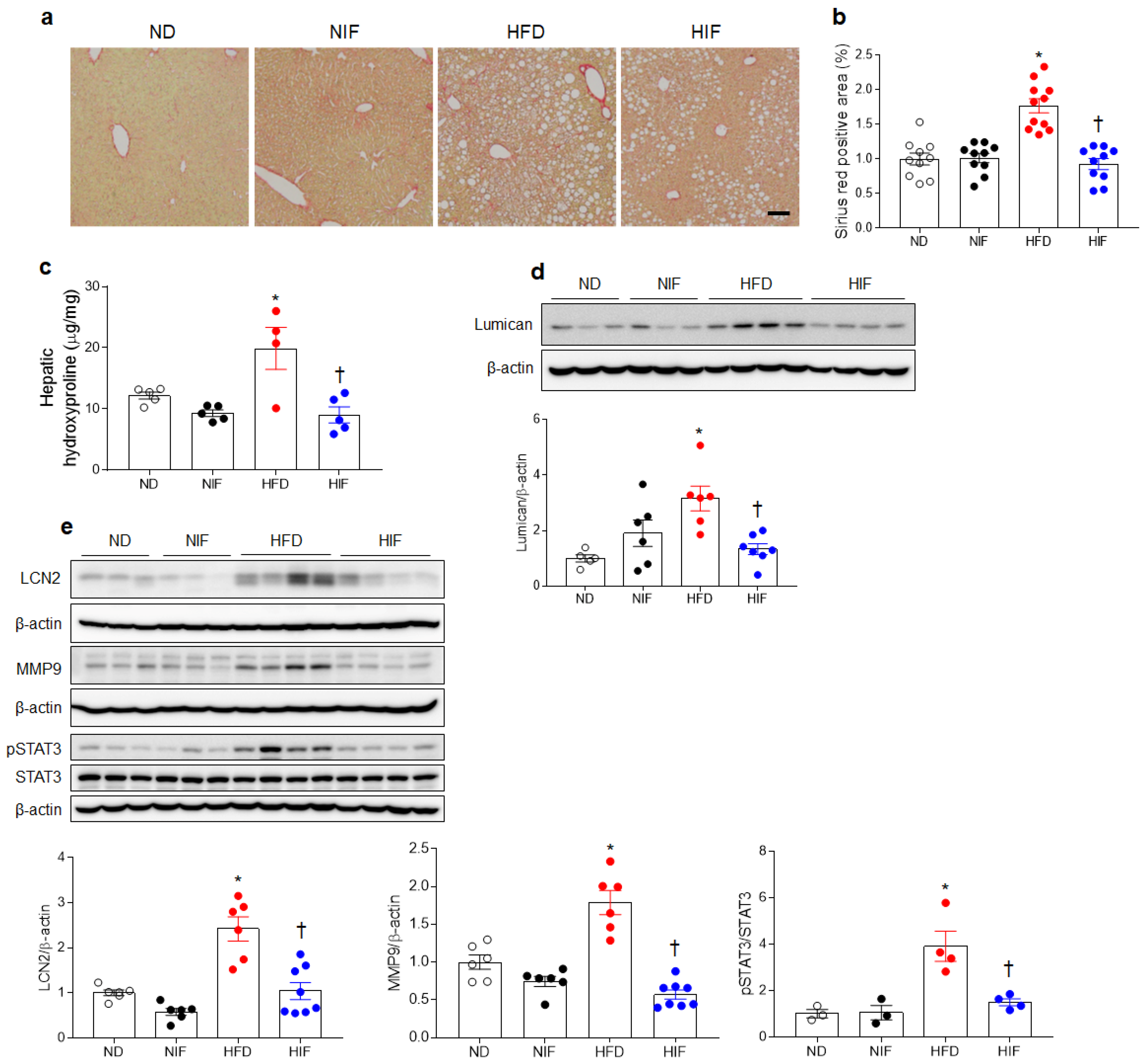 Nutrients 15 04574 g006