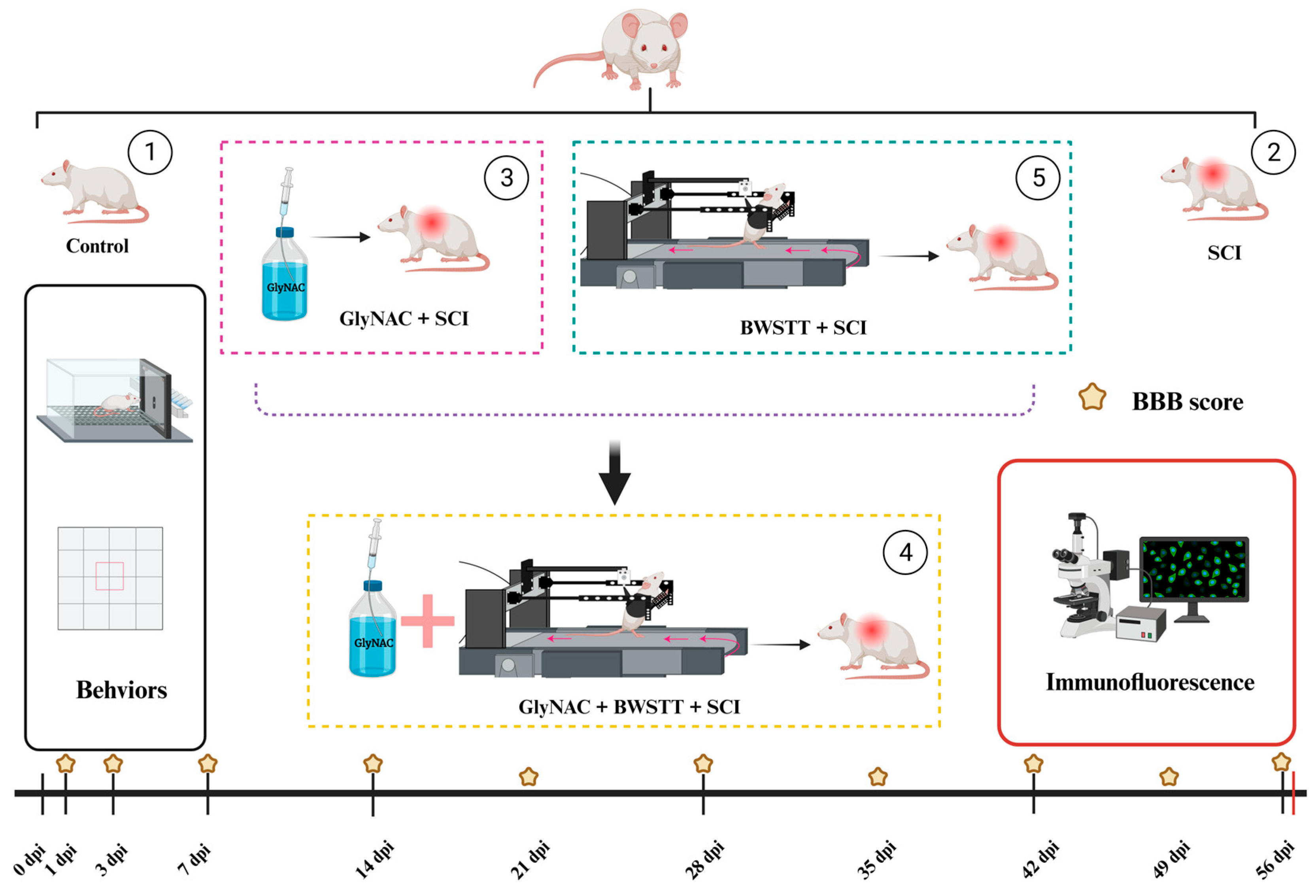 Nutrients 15 04578 g001 Nutrients 15 04578 g001