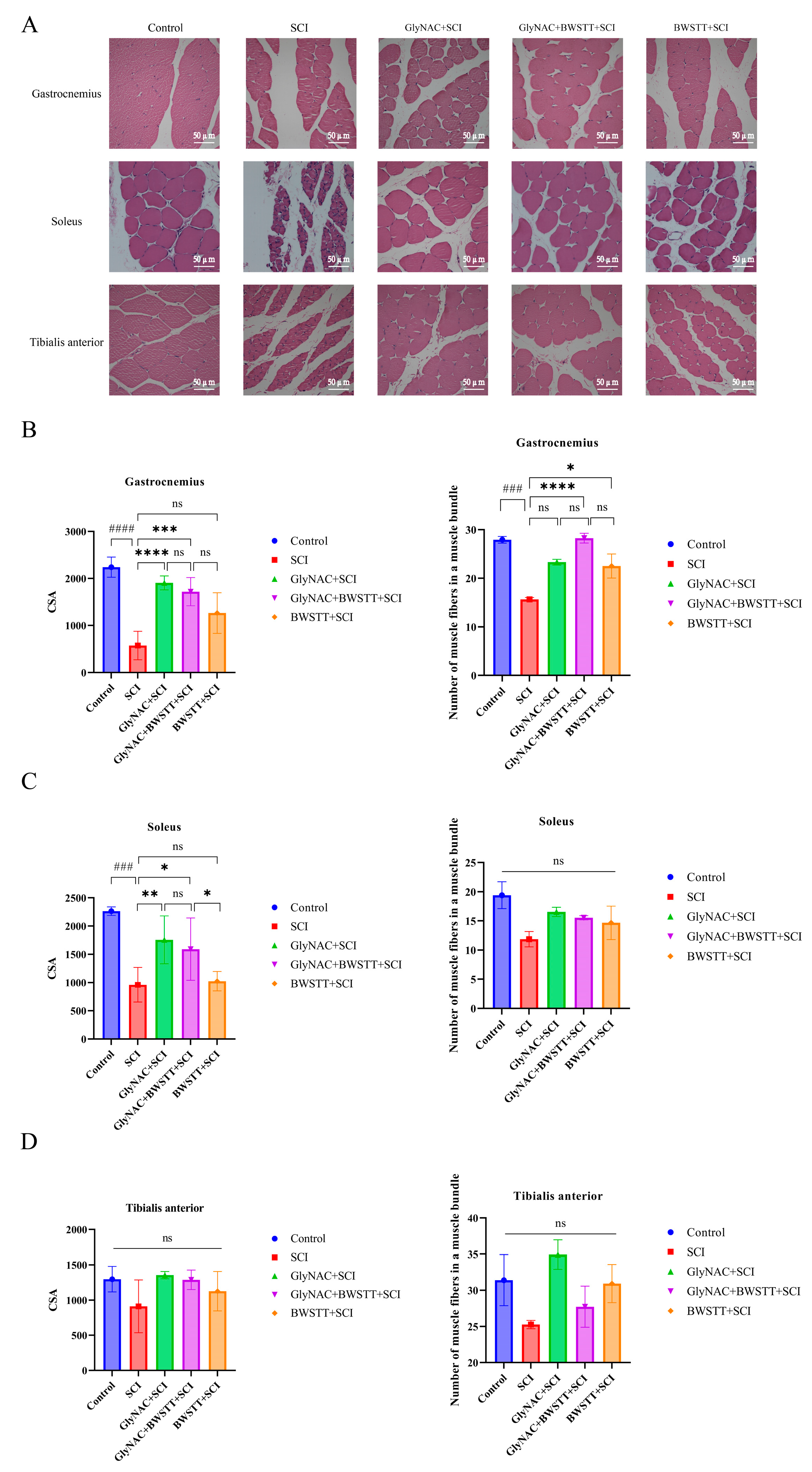 Nutrients 15 04578 g006 Nutrients 15 04578 g006
