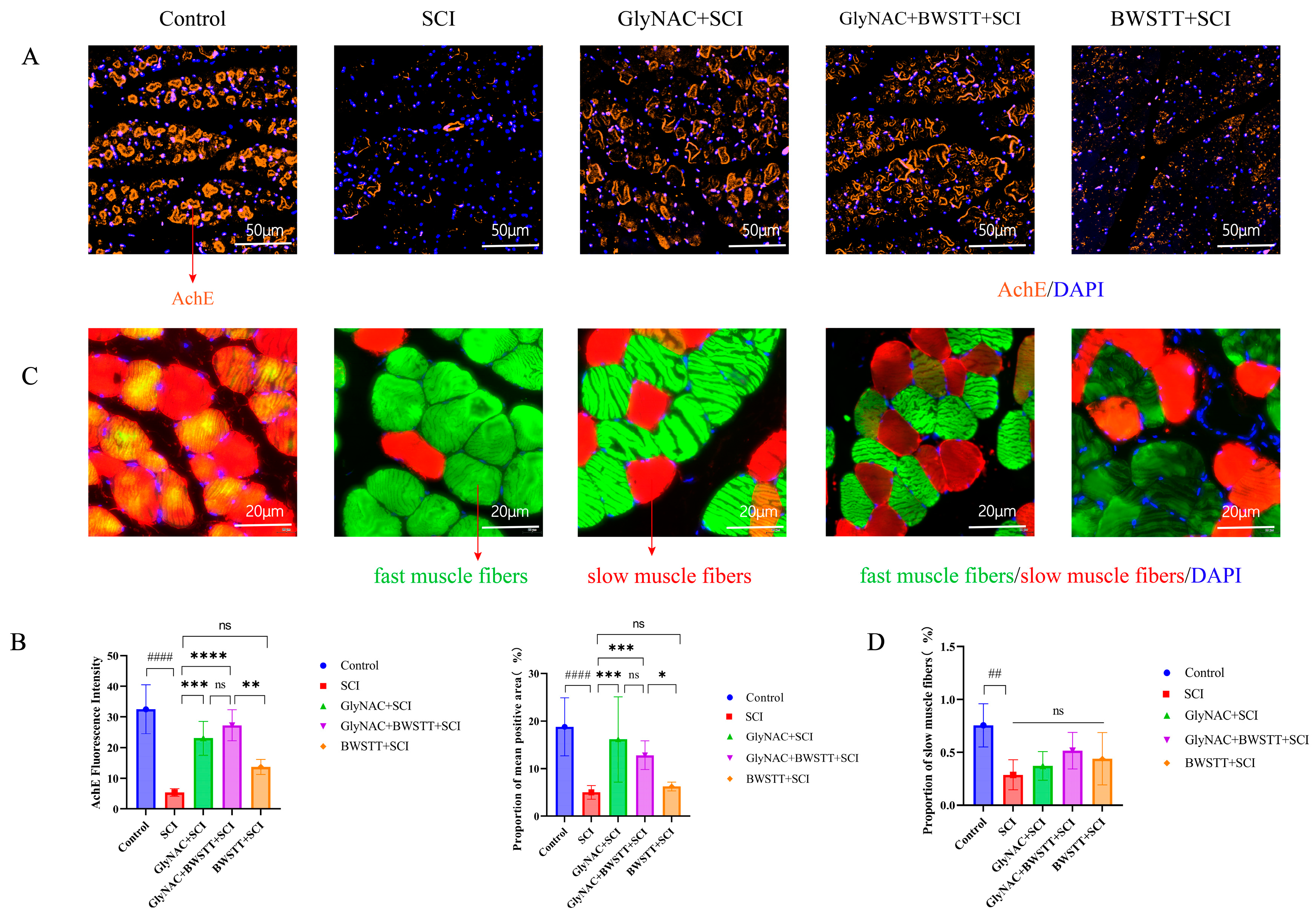 Nutrients 15 04578 g007 Nutrients 15 04578 g007