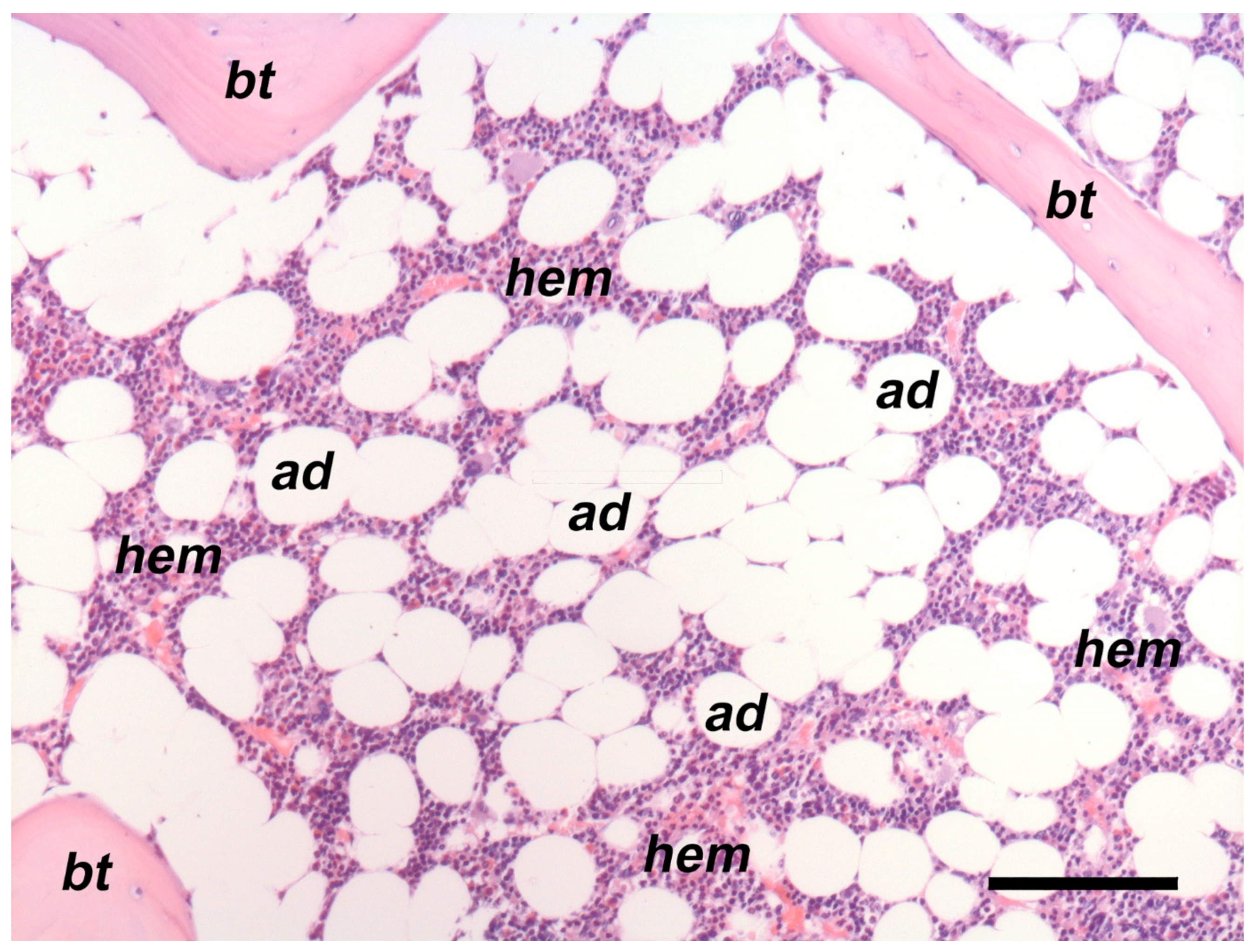 Nutrients 15 04601 g001