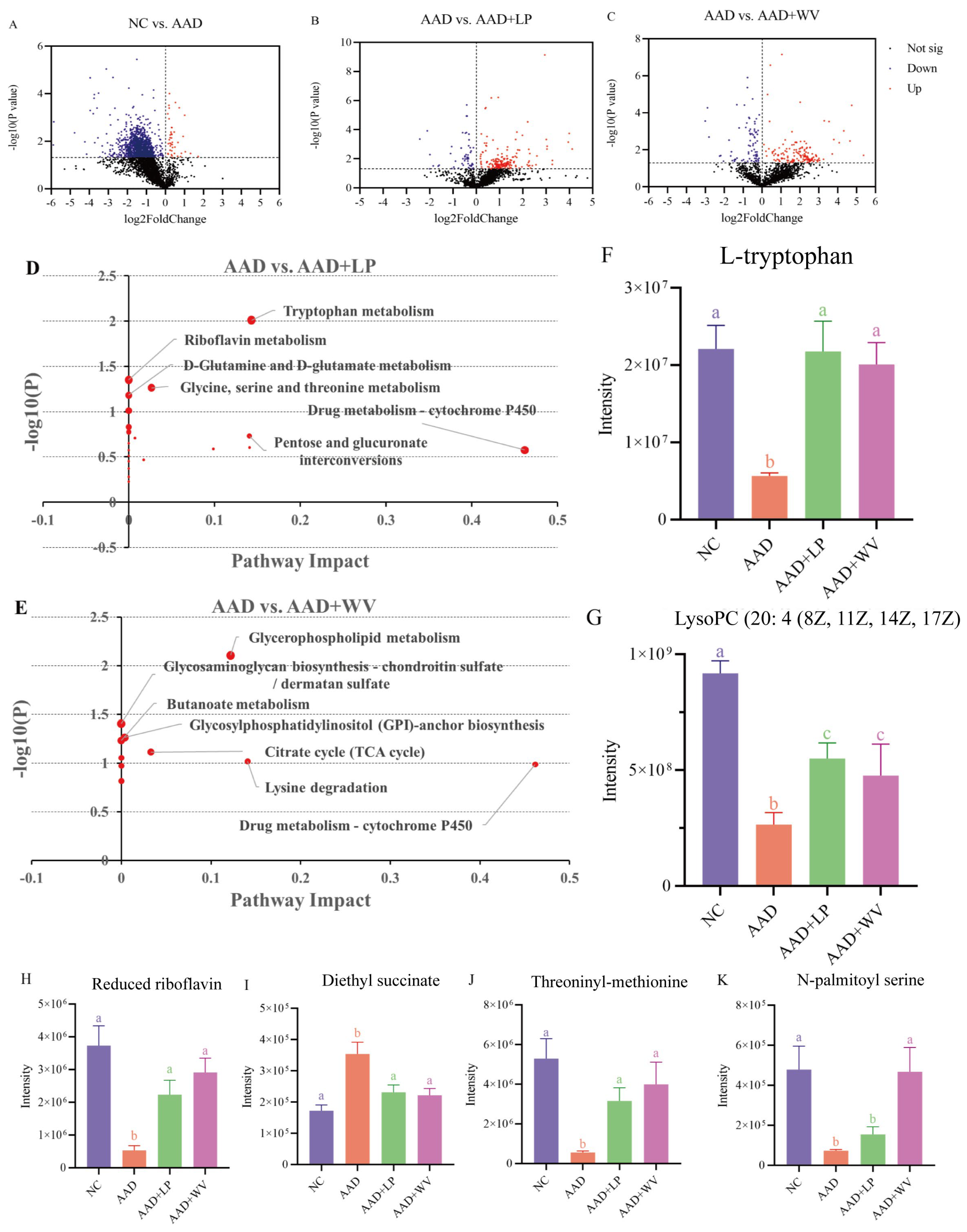 Nutrients 15 04603 g004