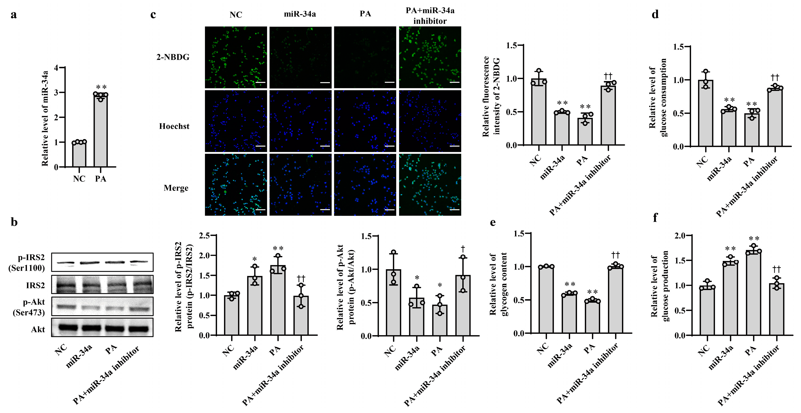 Nutrients 15 04616 g001
