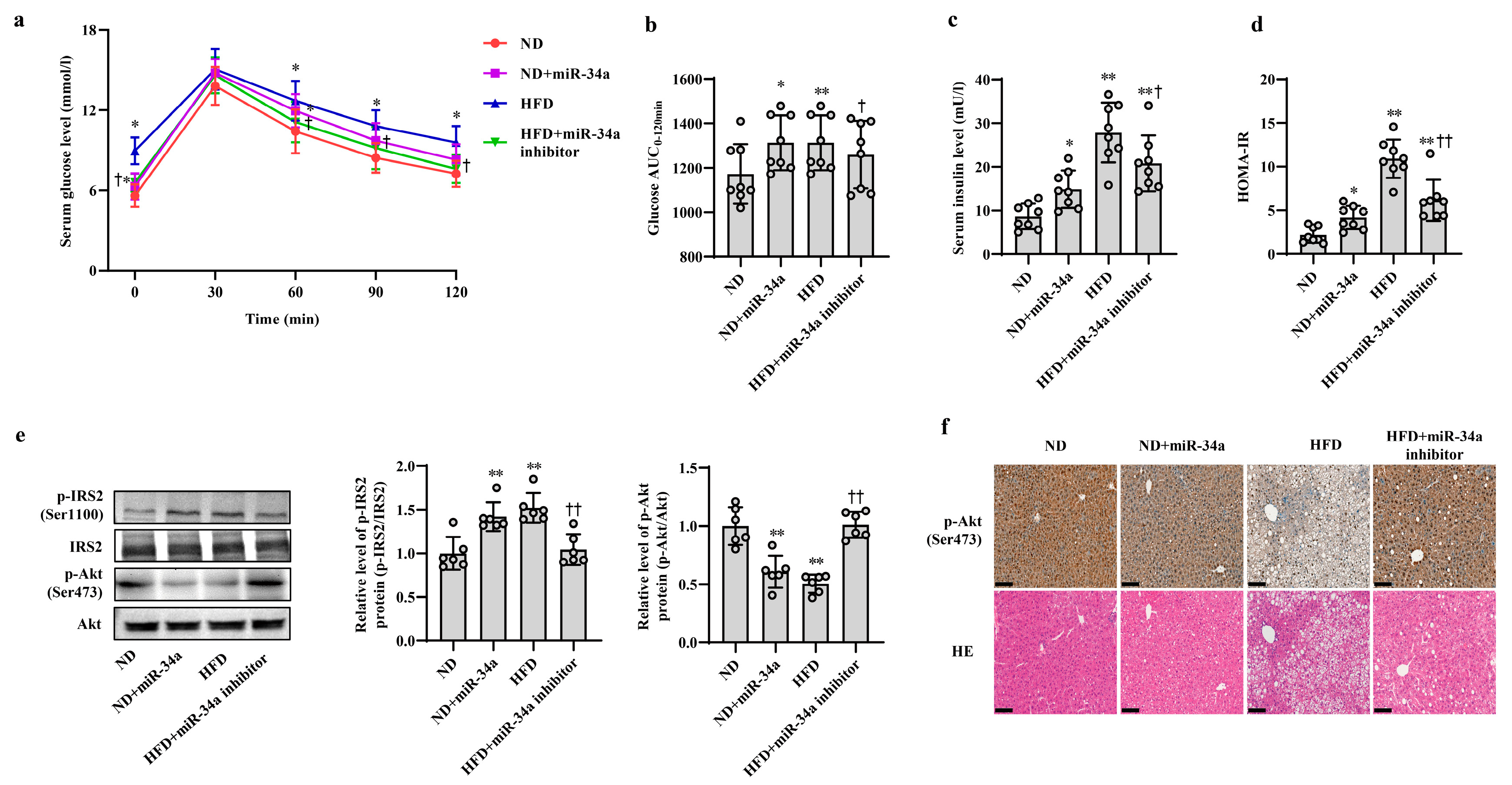 Nutrients 15 04616 g002