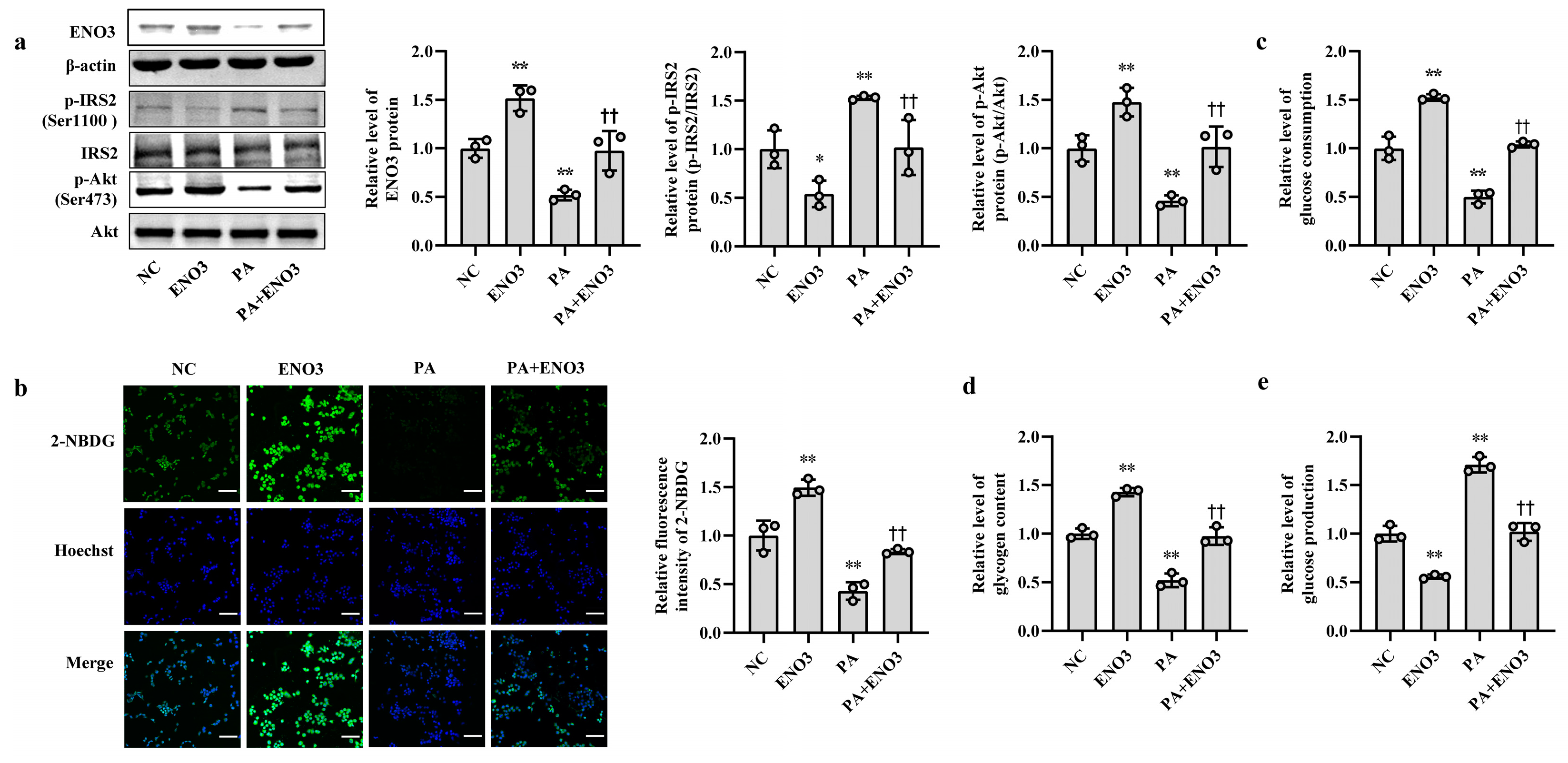 Nutrients 15 04616 g005