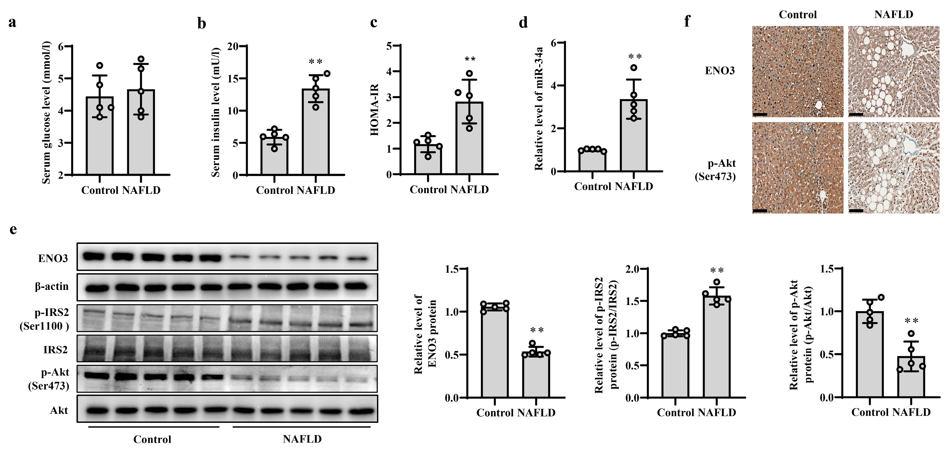 Nutrients 15 04616 g007