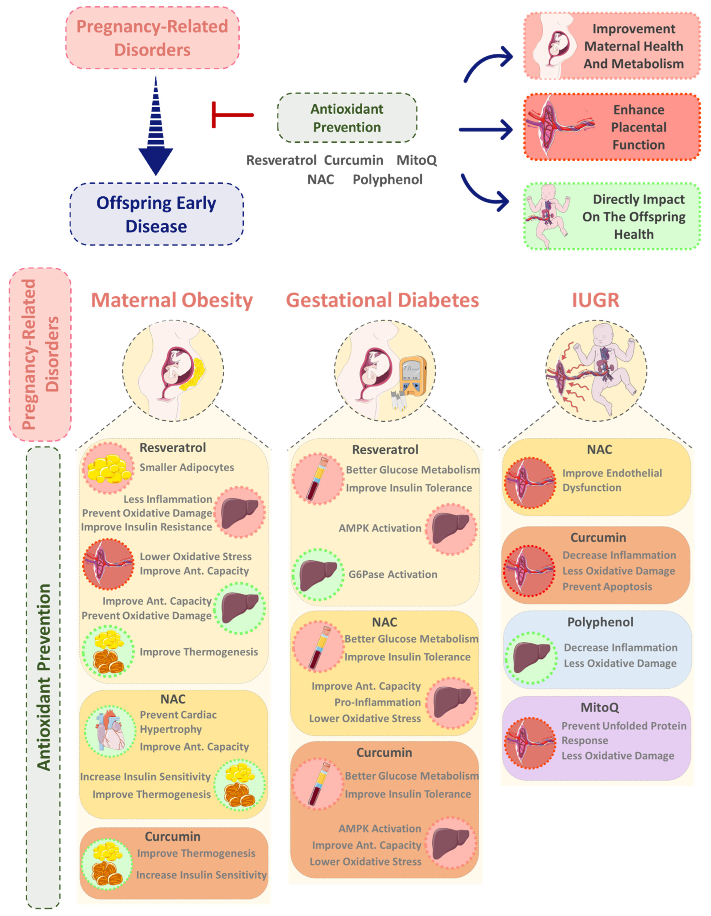 Nutrients 15 04623 g002