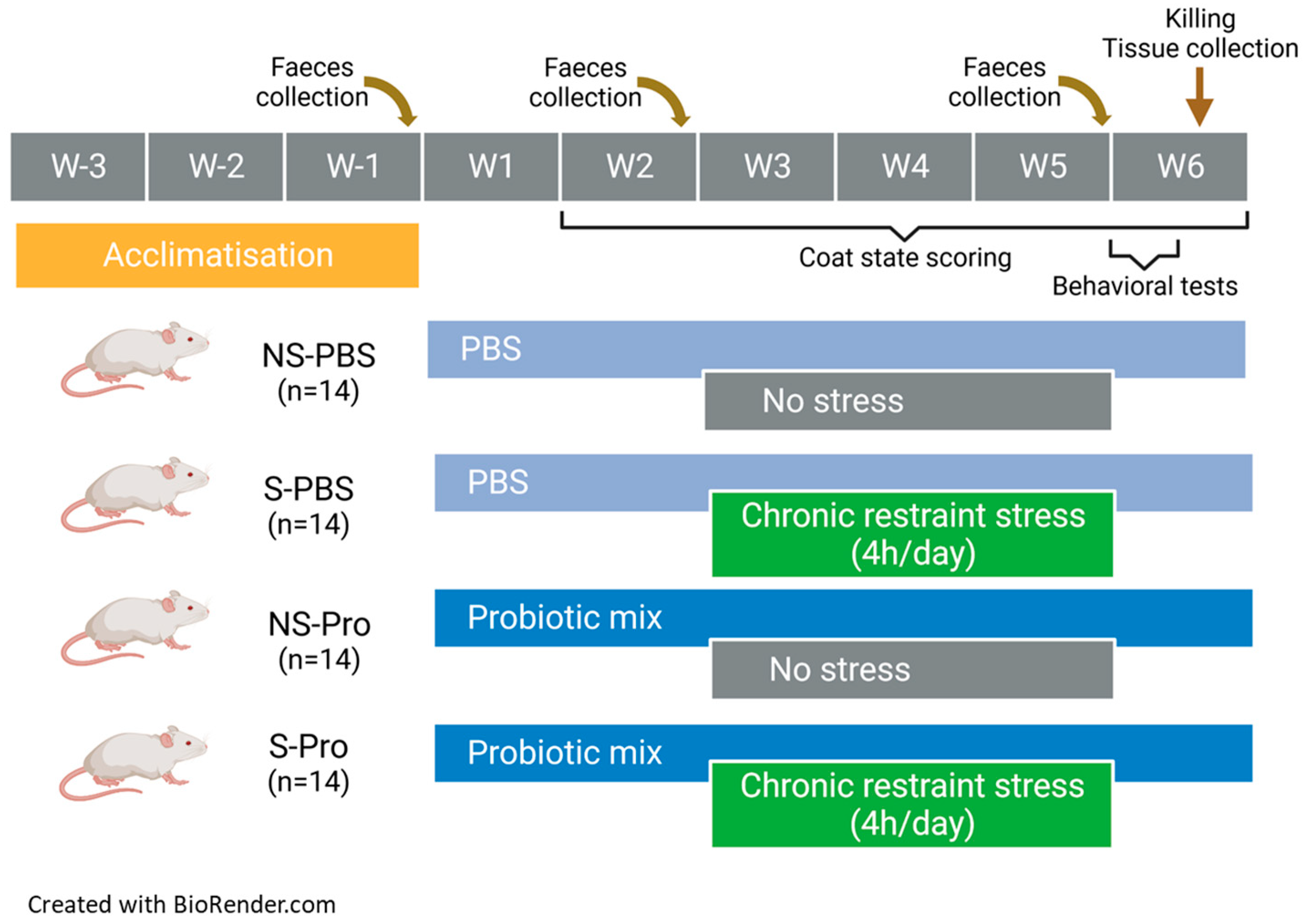 Nutrients 15 04635 g001