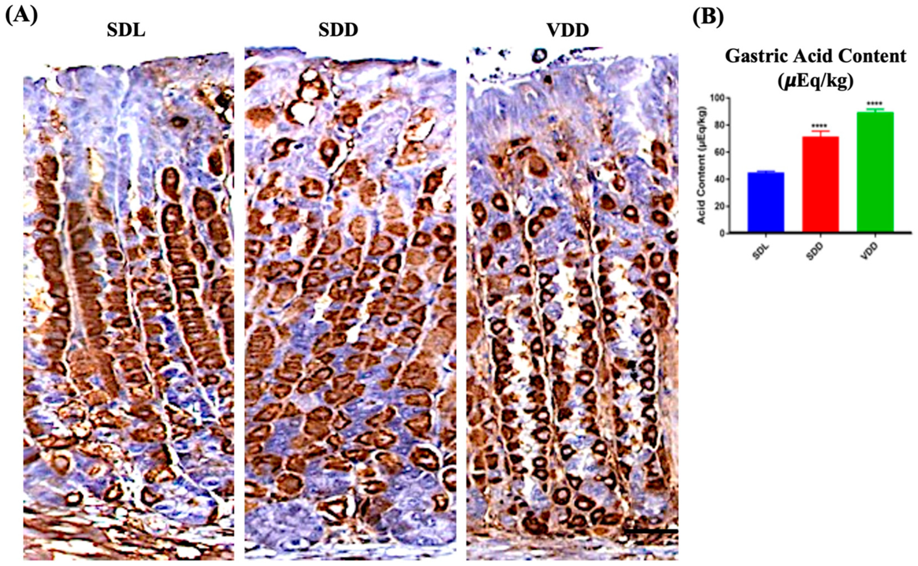 Nutrients 15 04648 g005 Nutrients 15 04648 g005