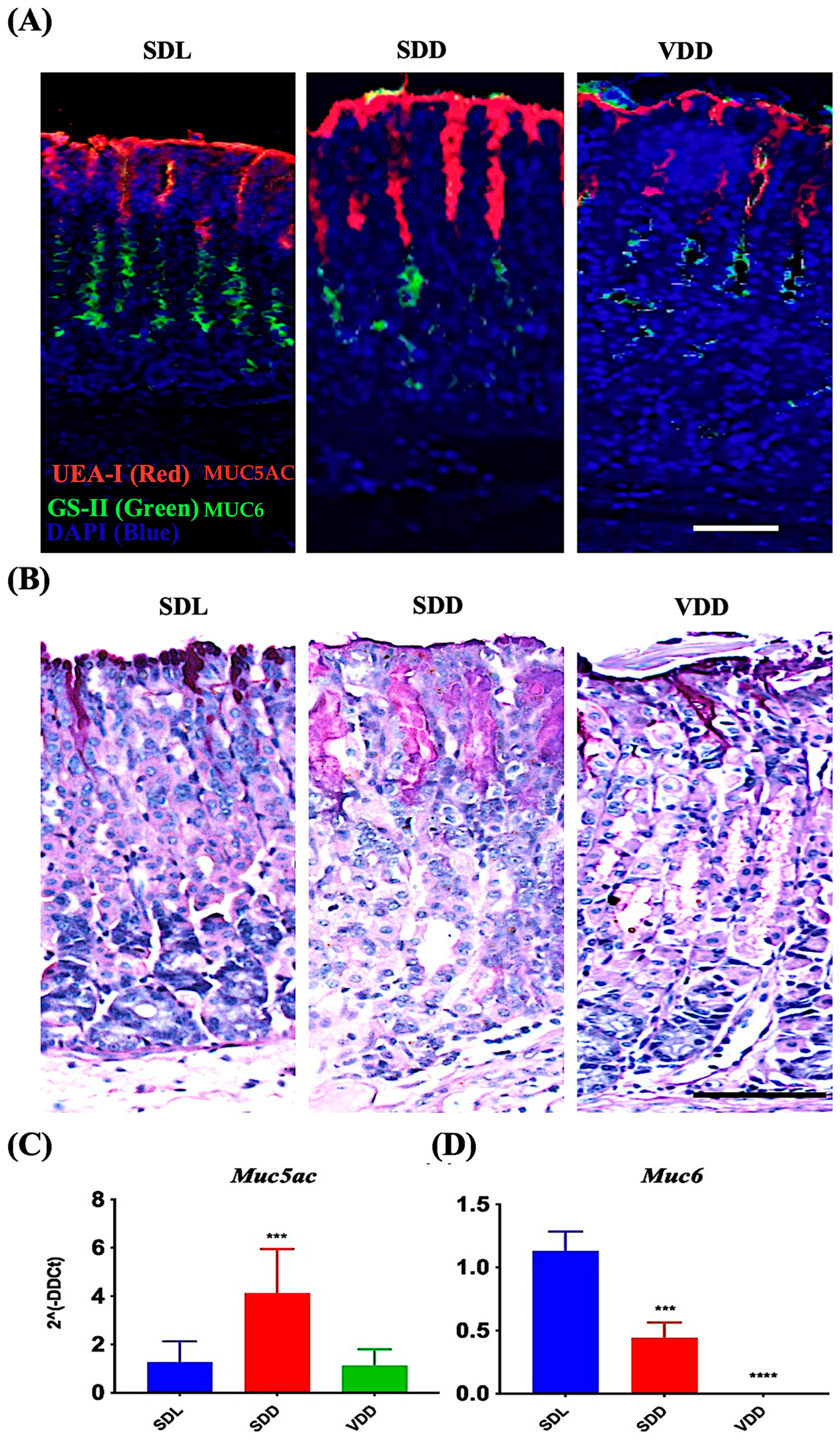 Nutrients 15 04648 g006 Nutrients 15 04648 g006