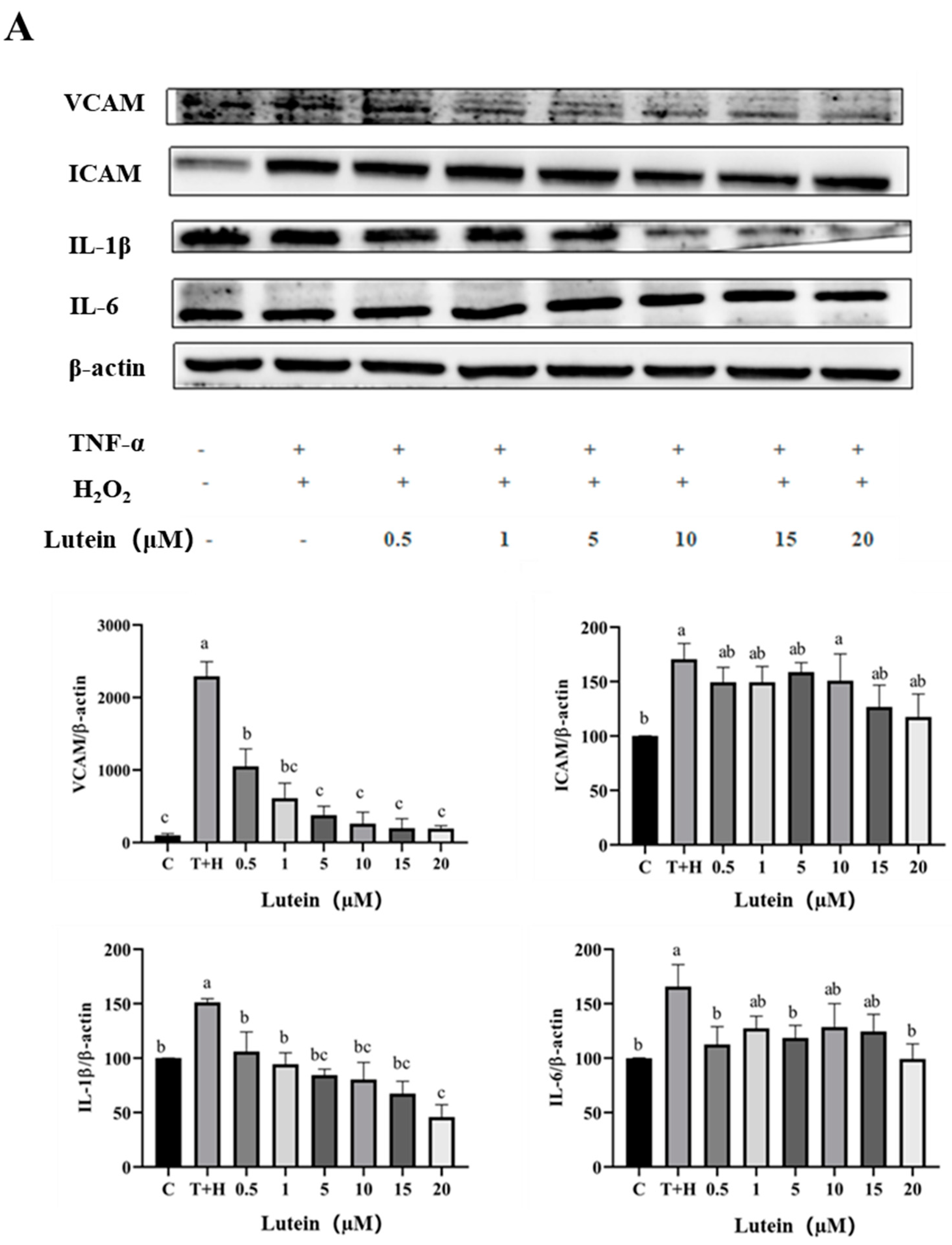 Nutrients 15 04652 g005a