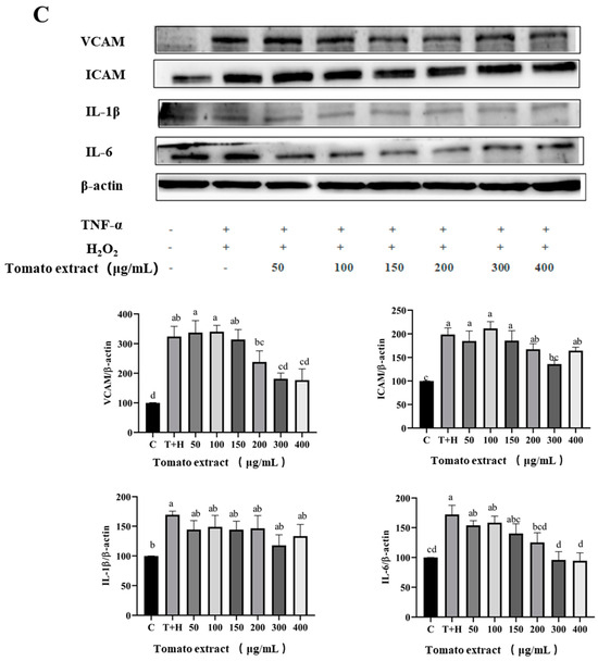 Nutrients Free FullText The Antioxidant and AntiInflammatory