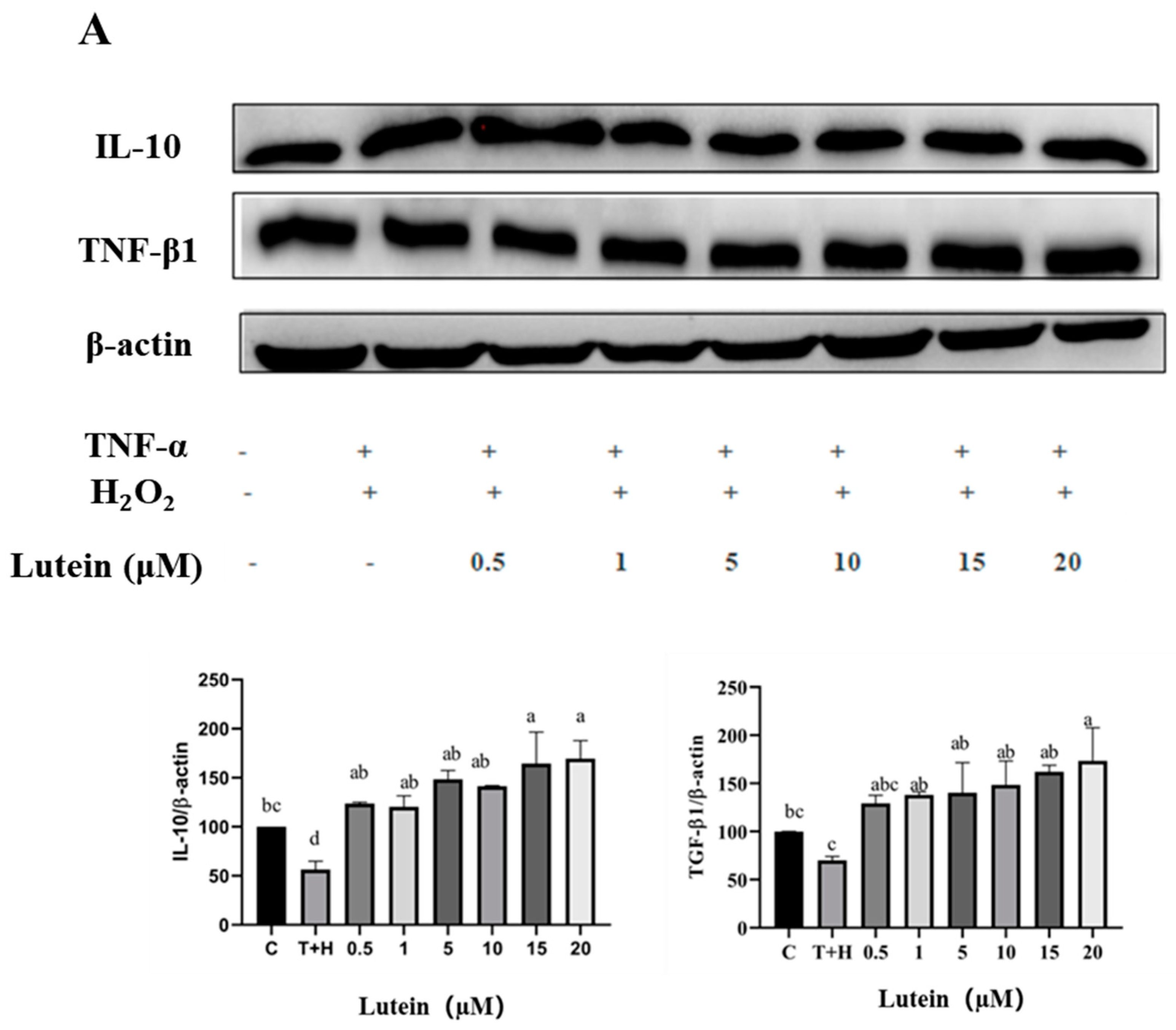 Nutrients 15 04652 g006a