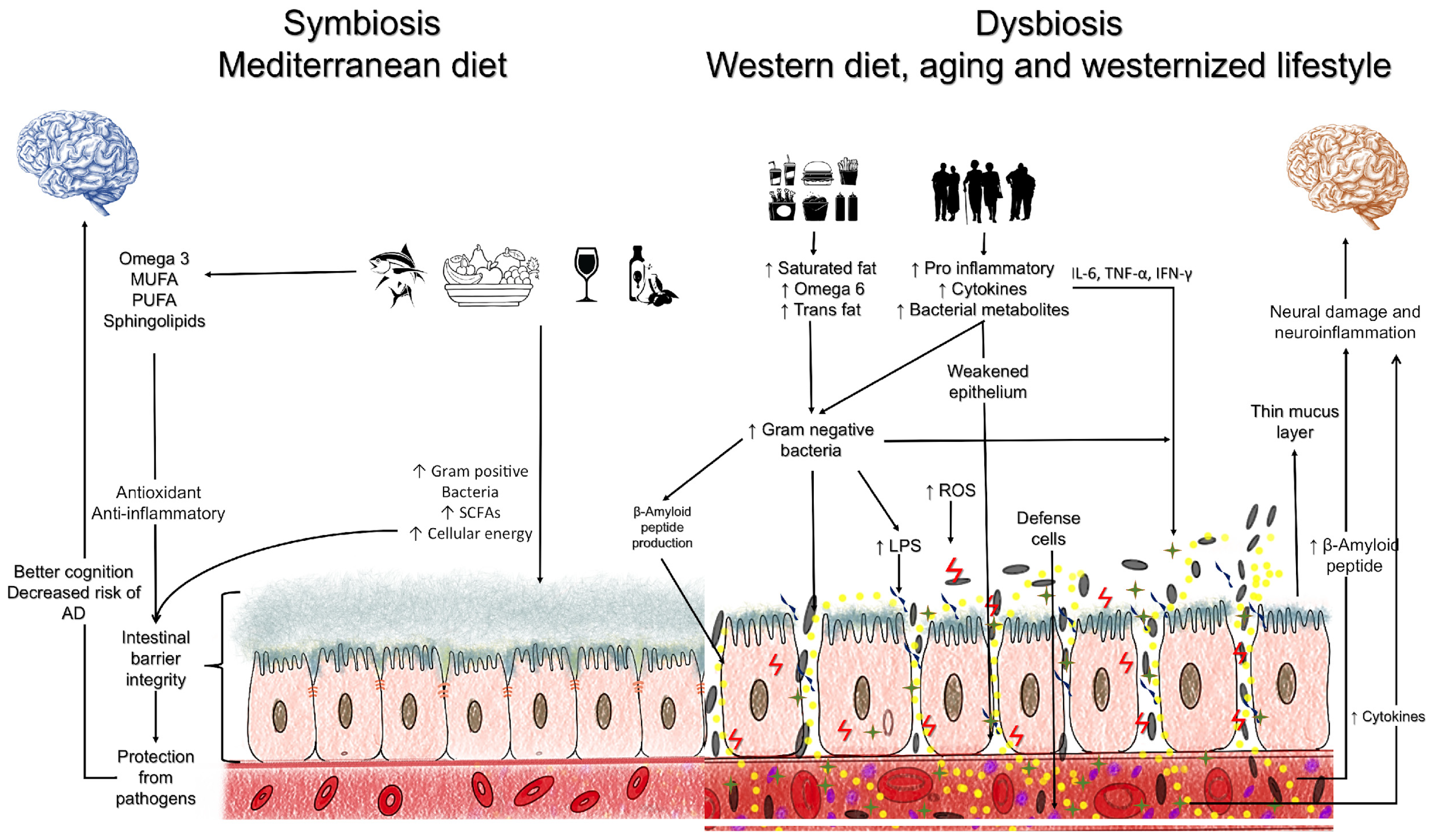 Nutrients 15 04661 g001