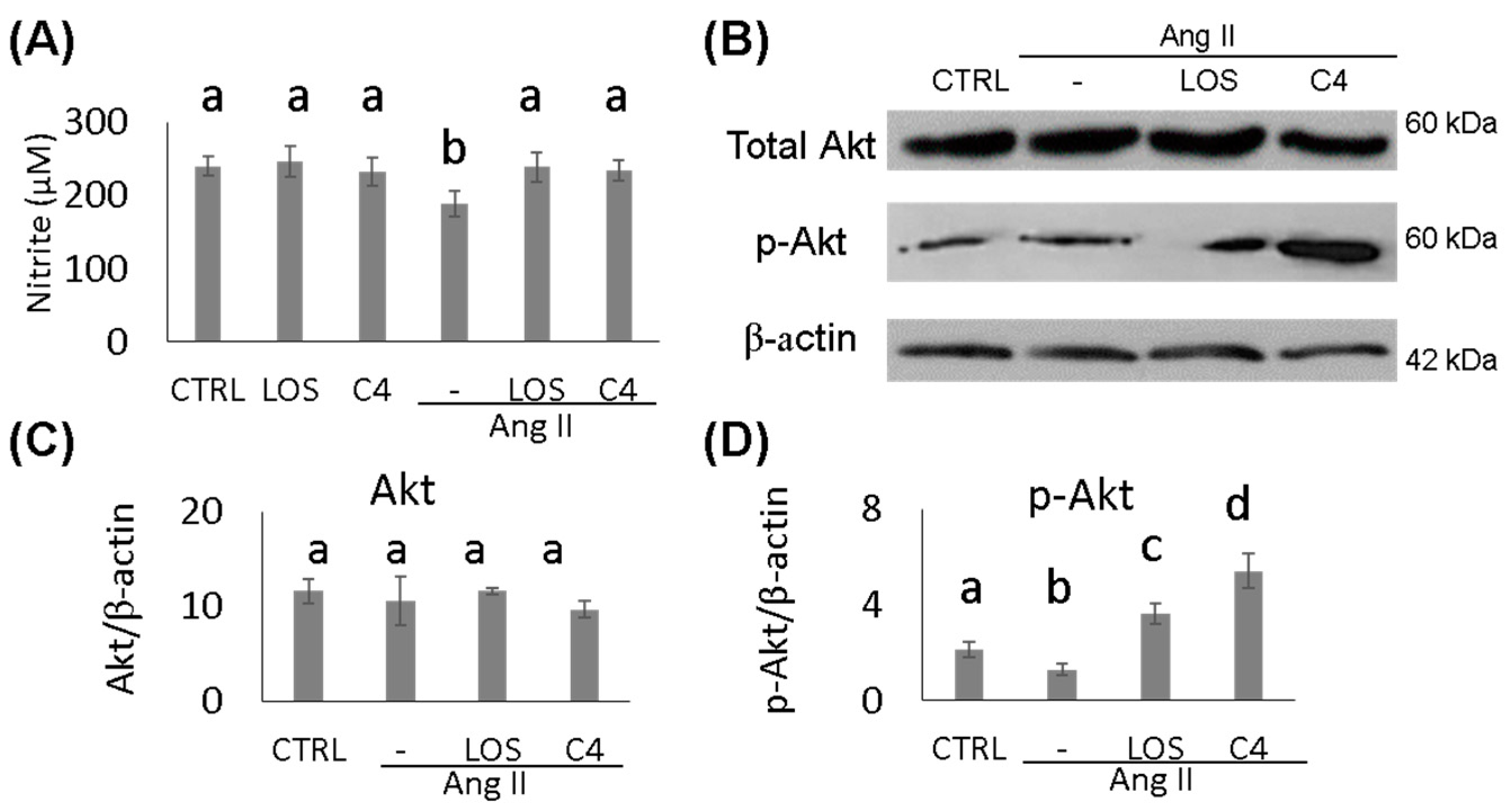Nutrients 15 04680 g002