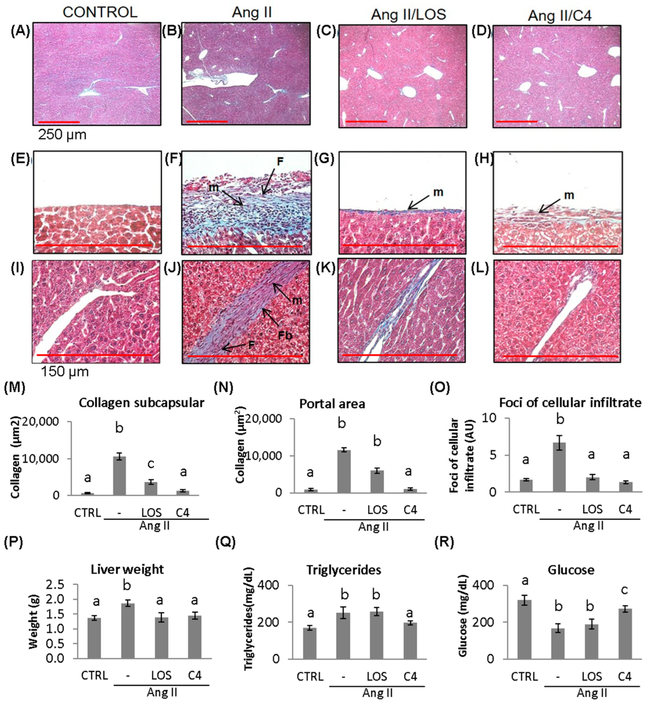 Nutrients 15 04680 g006
