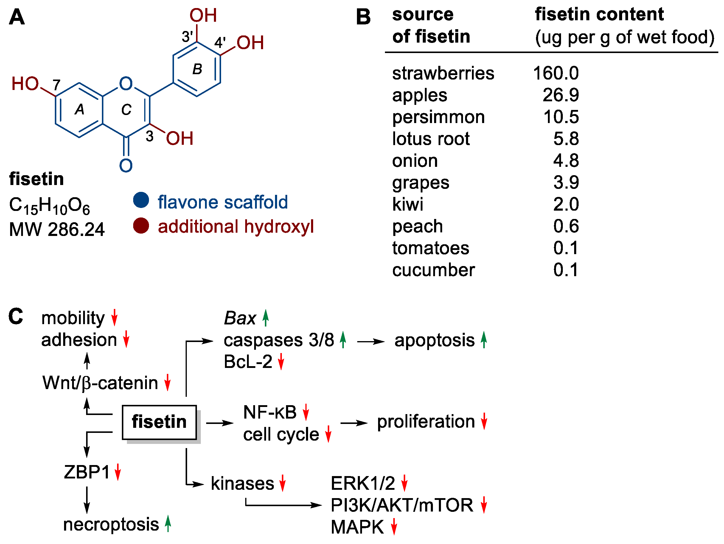Nutrients 15 04686 g002