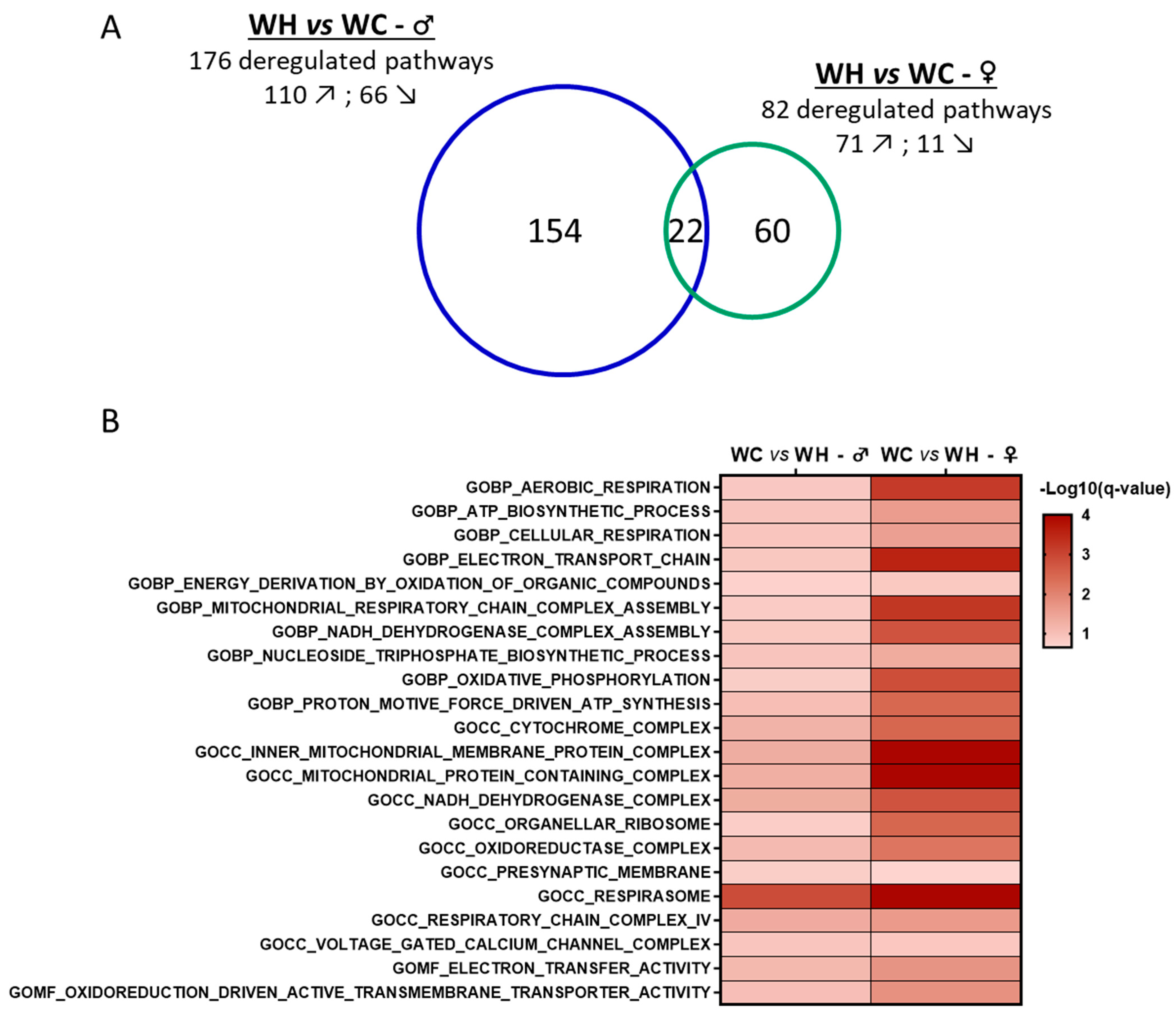 Nutrients 15 04691 g005