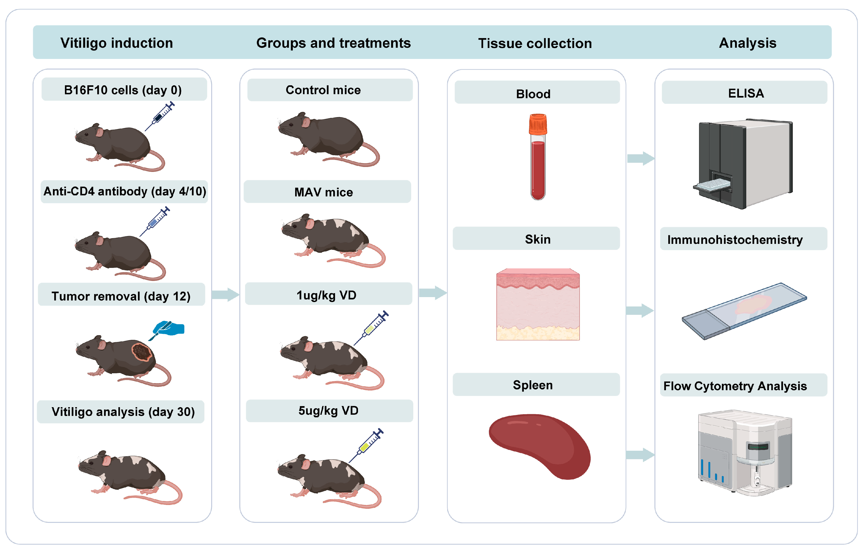 Nutrients 15 04697 g002