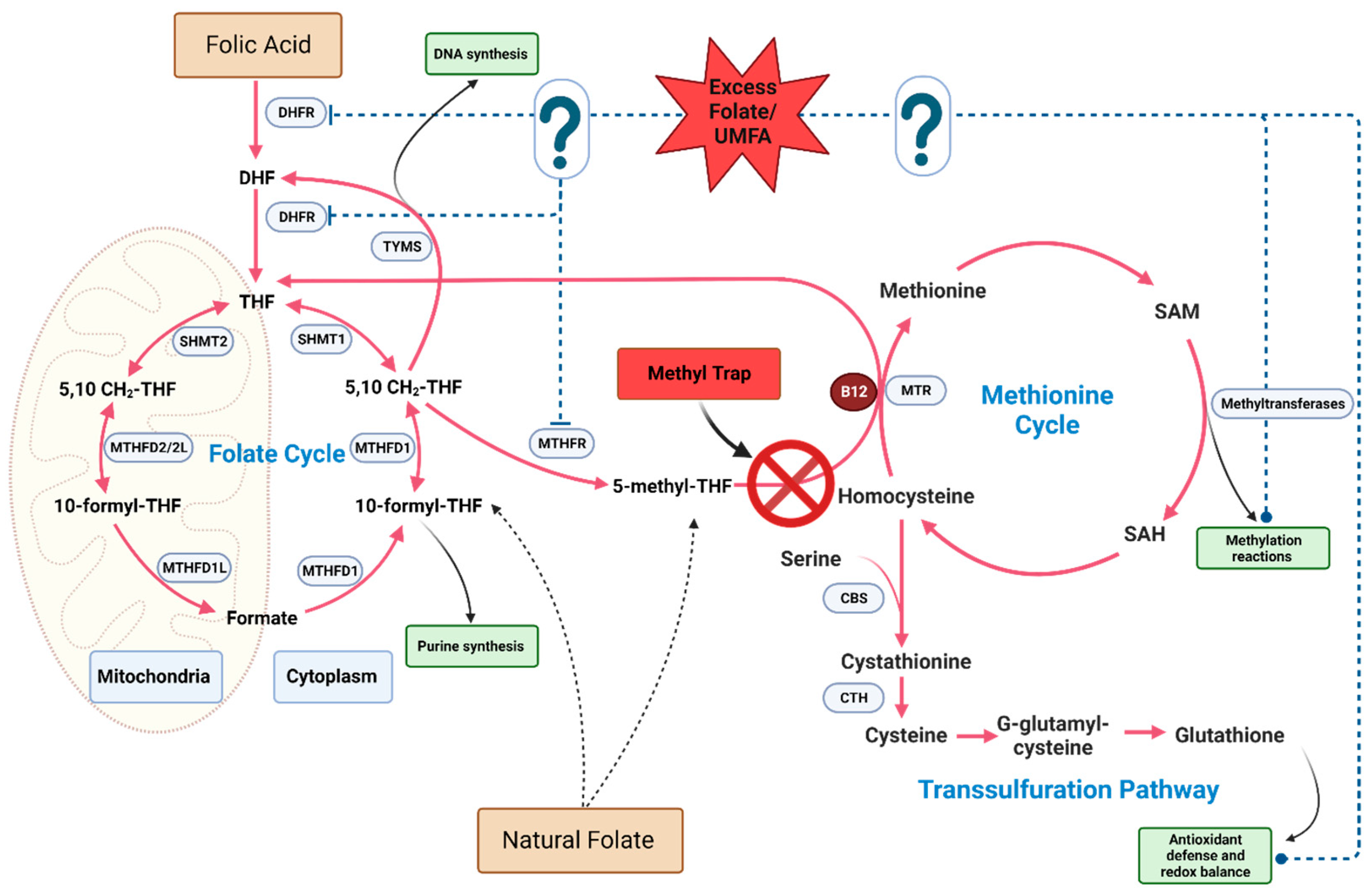 Nutrients 15 04699 g002 Nutrients 15 04699 g002