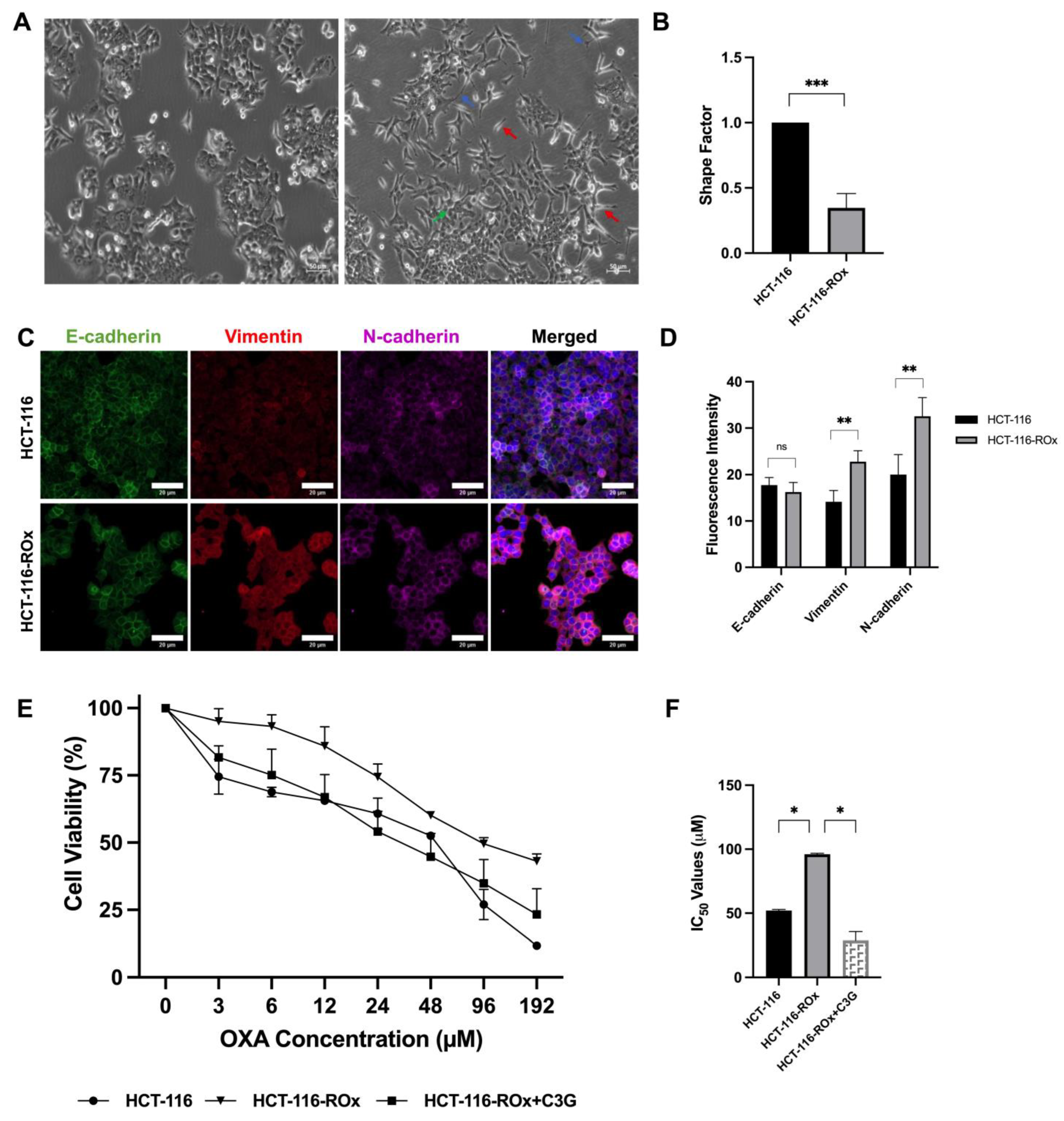 Nutrients 15 04705 g001