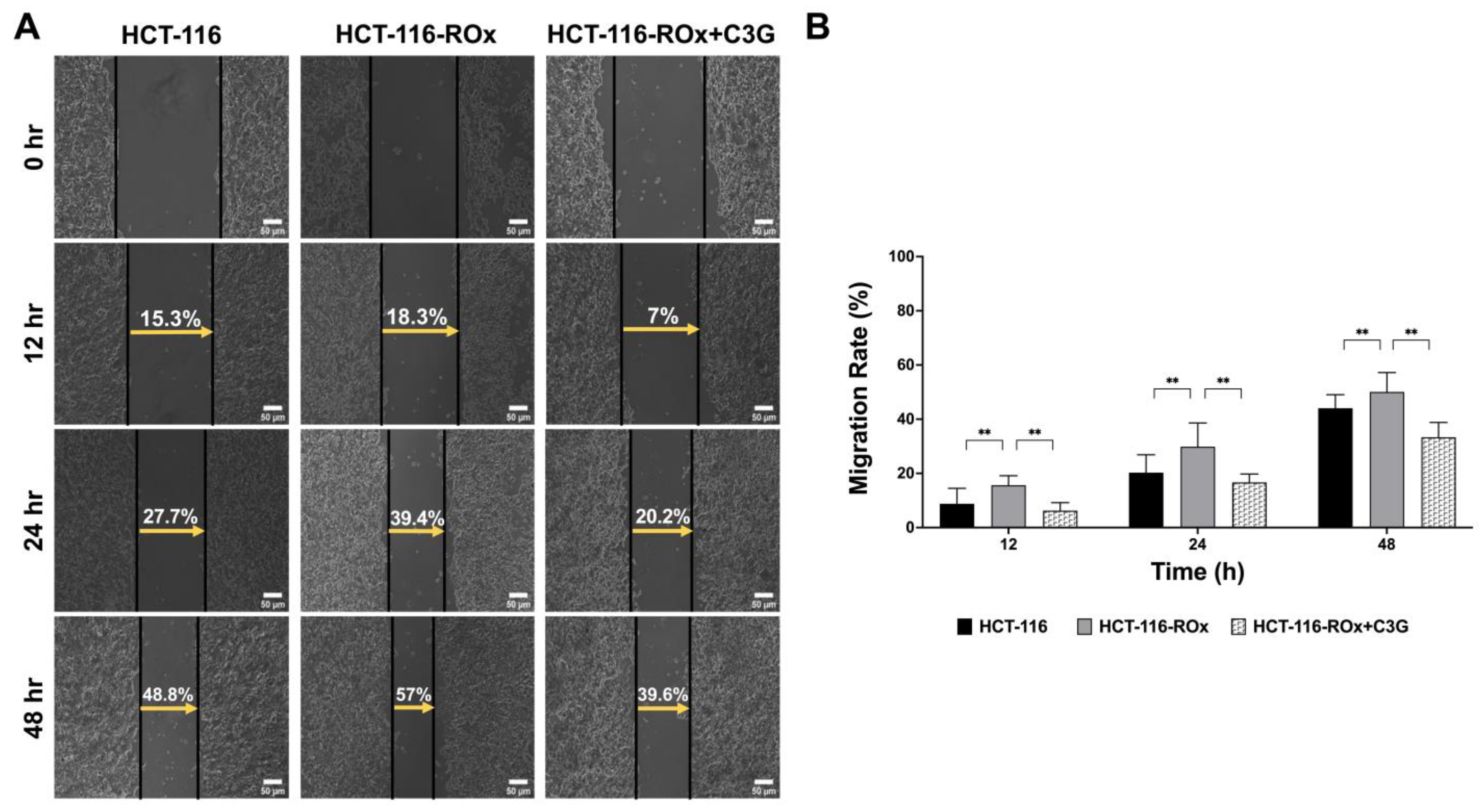 Nutrients 15 04705 g003