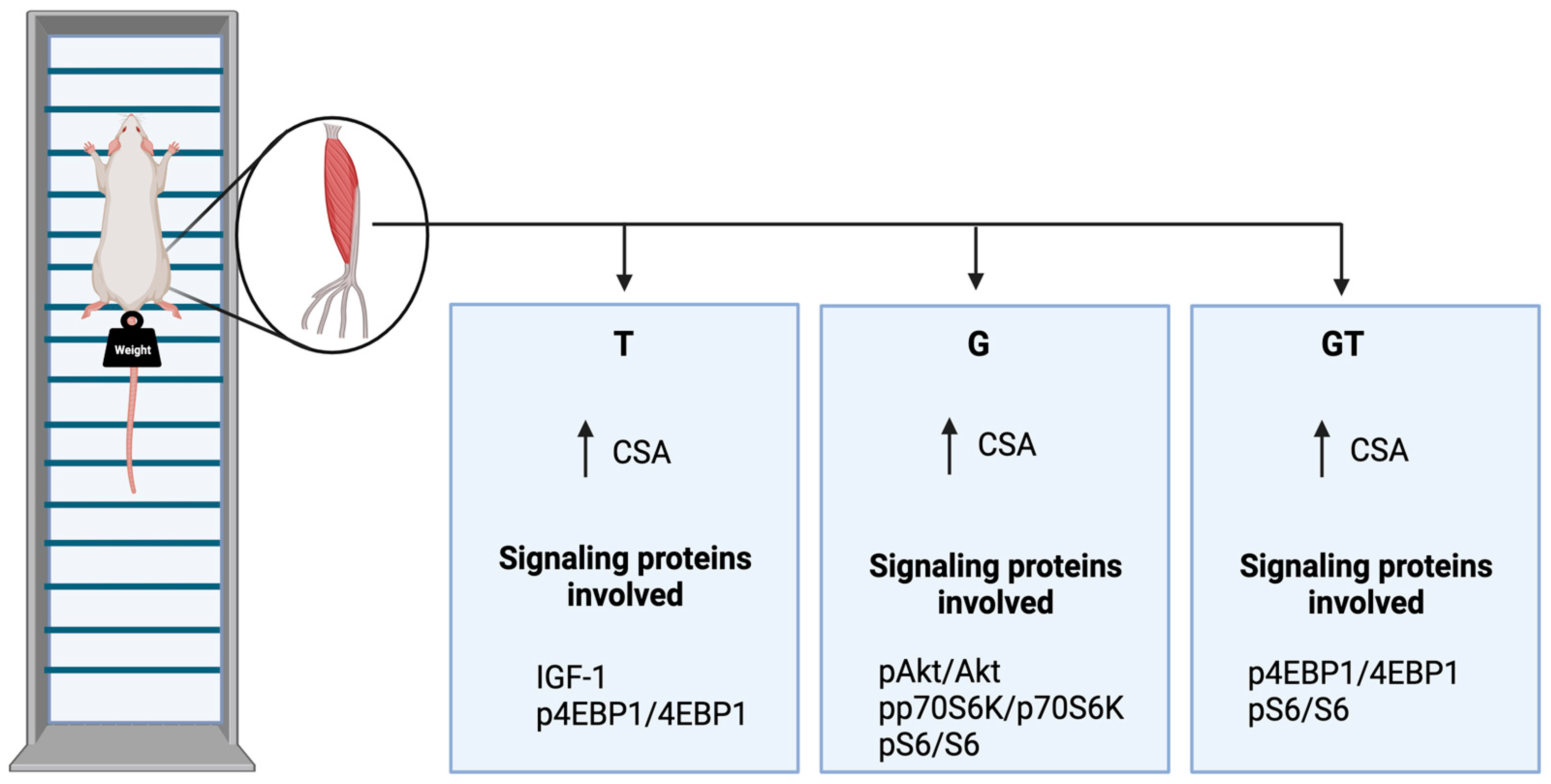 Nutrients 15 04711 g008