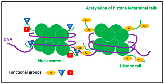 Plant-Derived Epi-Nutraceuticals as Potential Broad-Spectrum