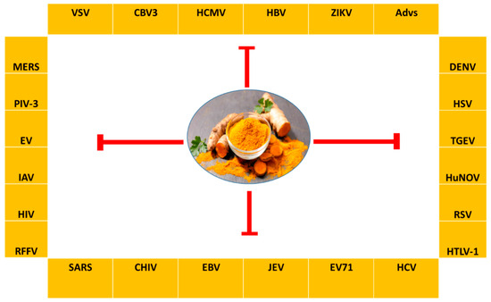 Plant-Derived Epi-Nutraceuticals as Potential Broad-Spectrum