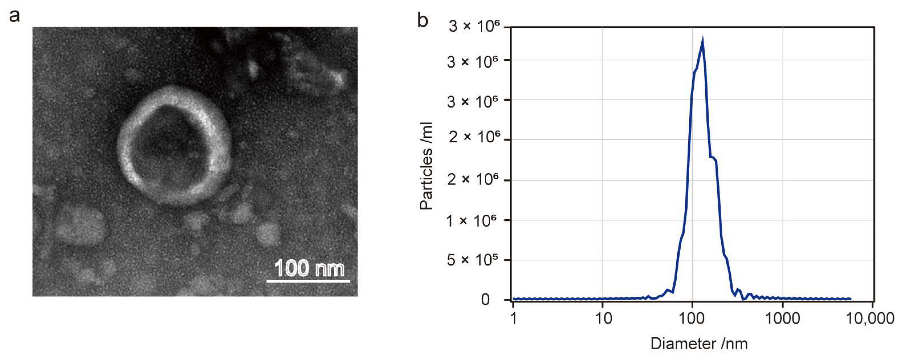 Nutrients 15 04722 g001