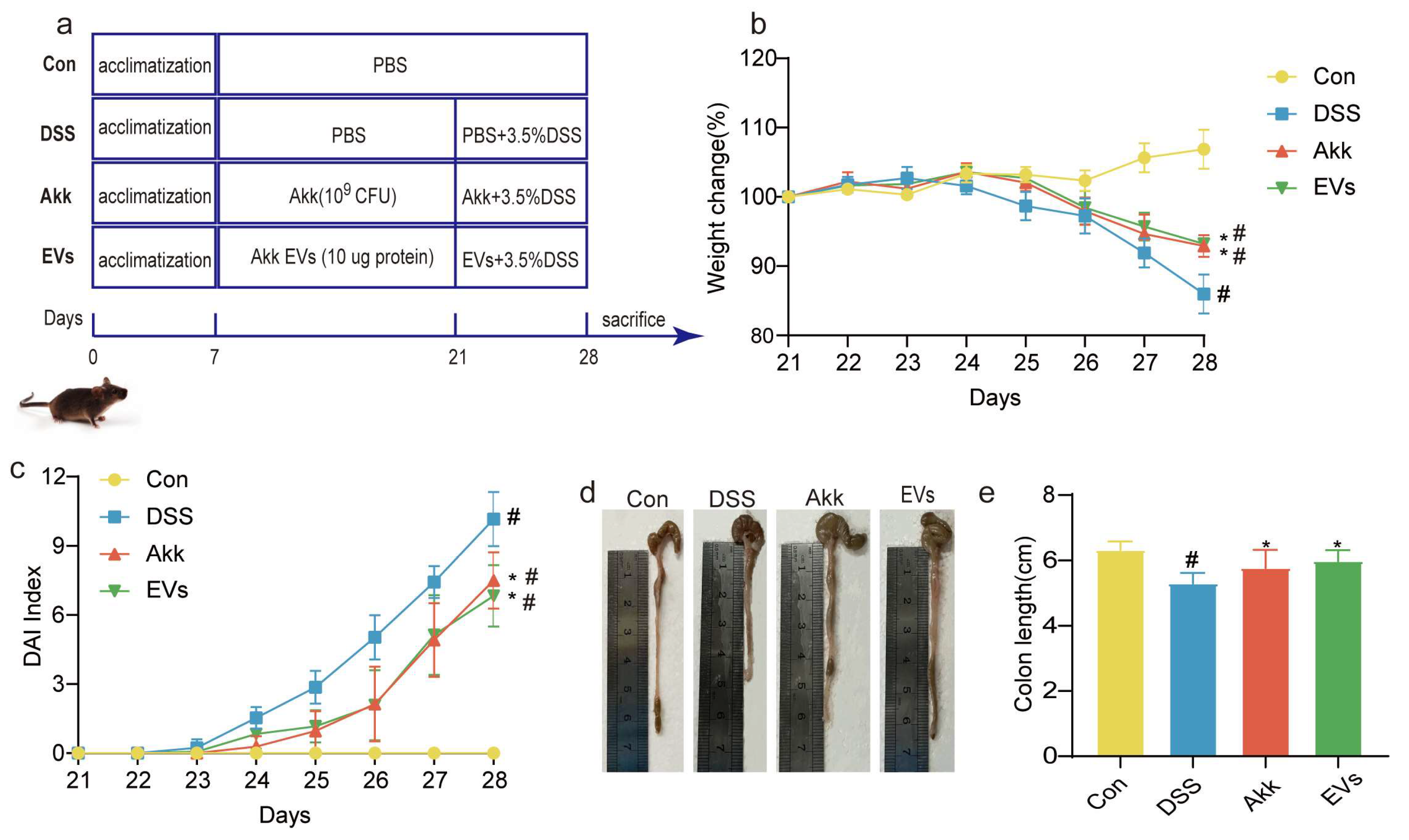 Nutrients 15 04722 g003