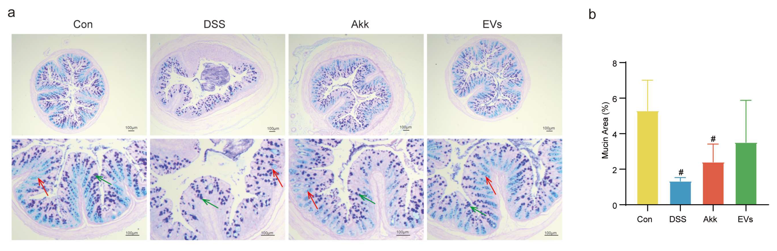 Nutrients 15 04722 g005