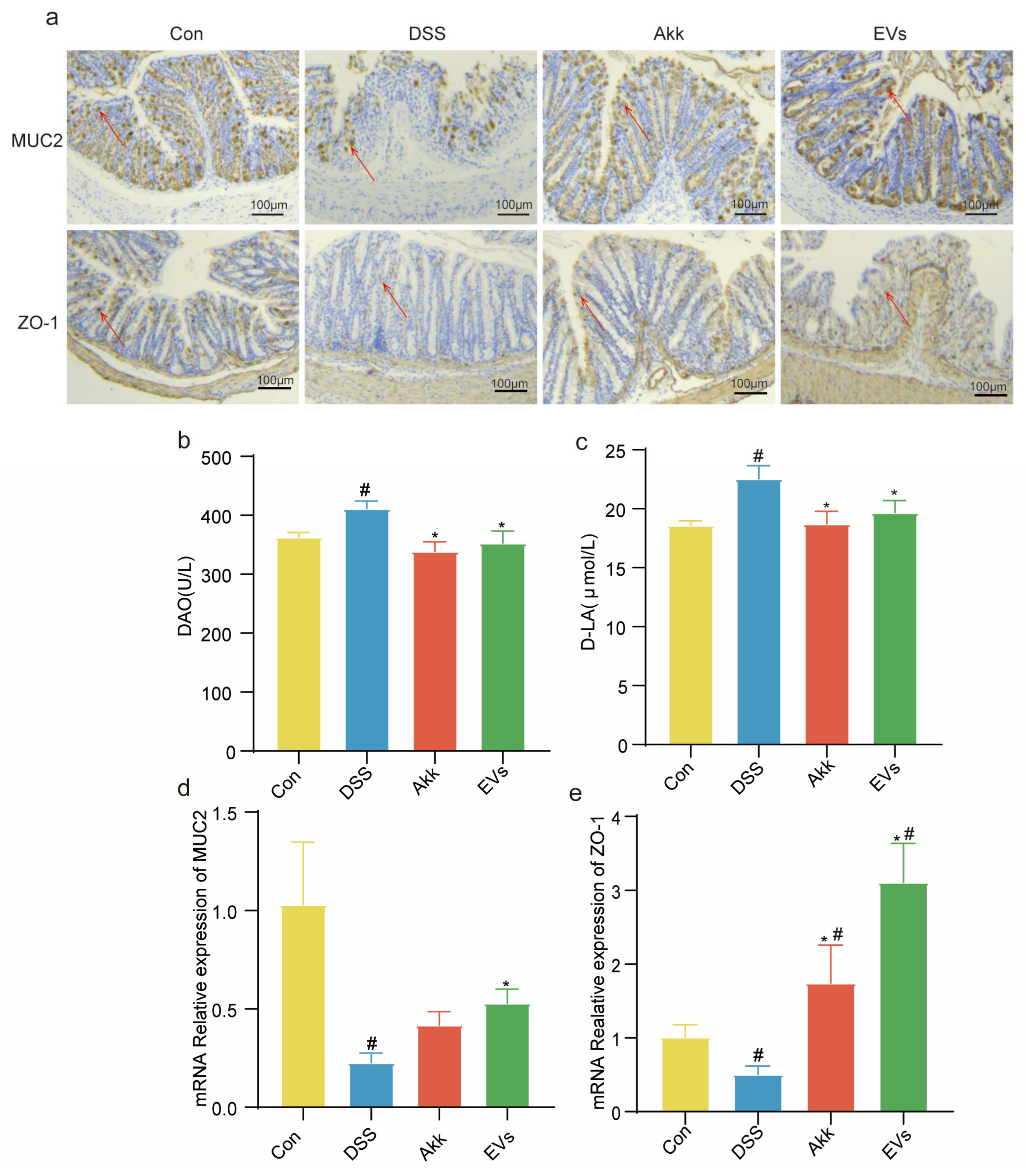 Nutrients 15 04722 g007